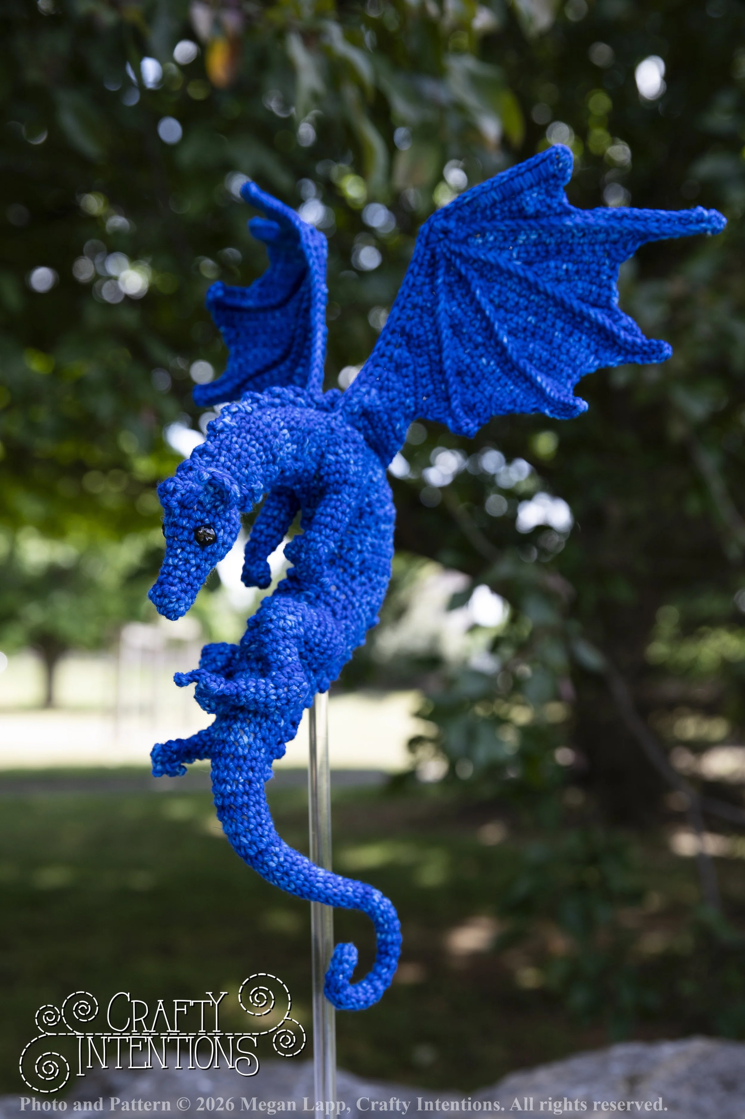IMG_6256Daggerwingdragonedited wlac.jpg