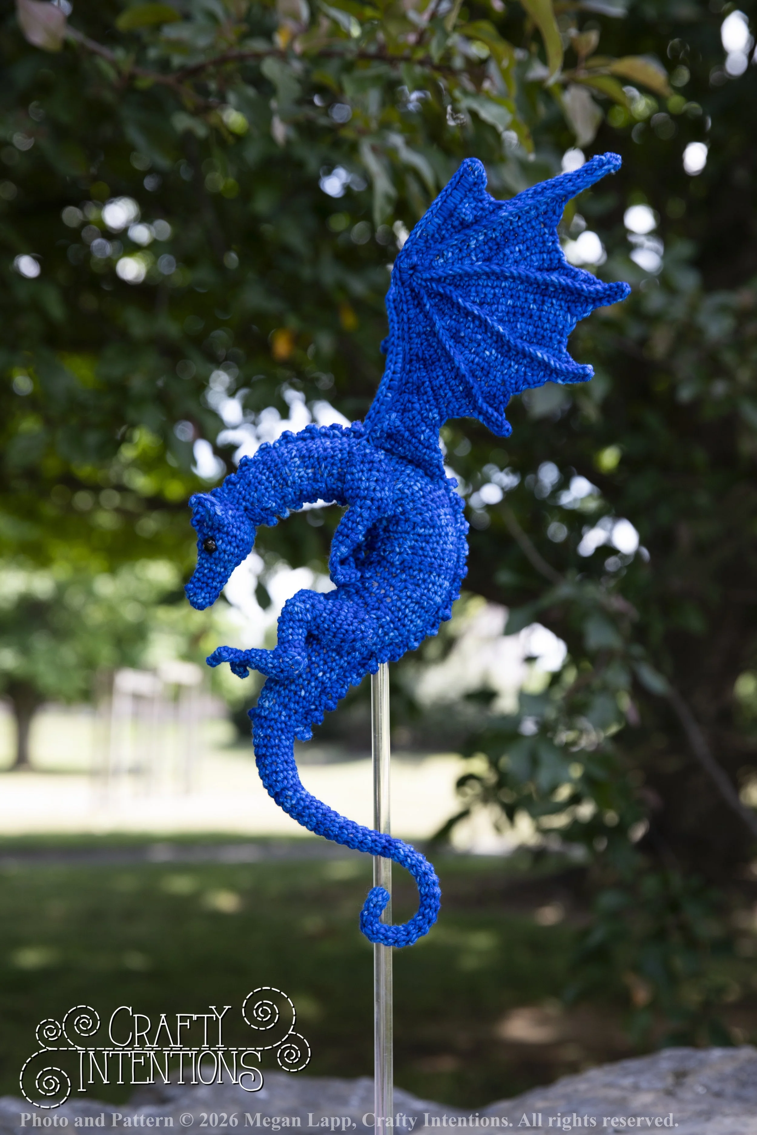 IMG_6266Daggerwingdragonedited wlac.jpg