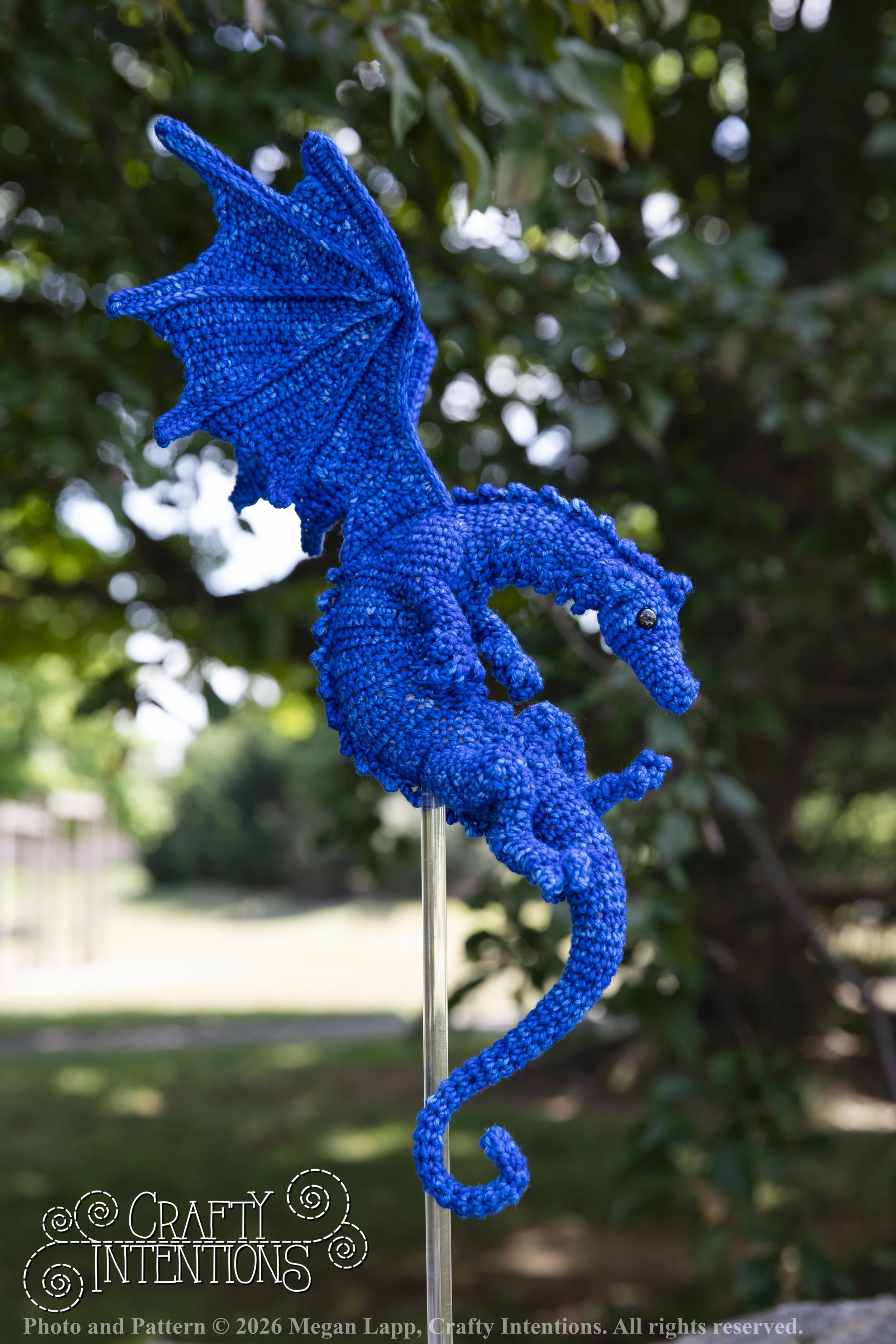IMG_6268Daggerwingdragonedited wlac.jpg