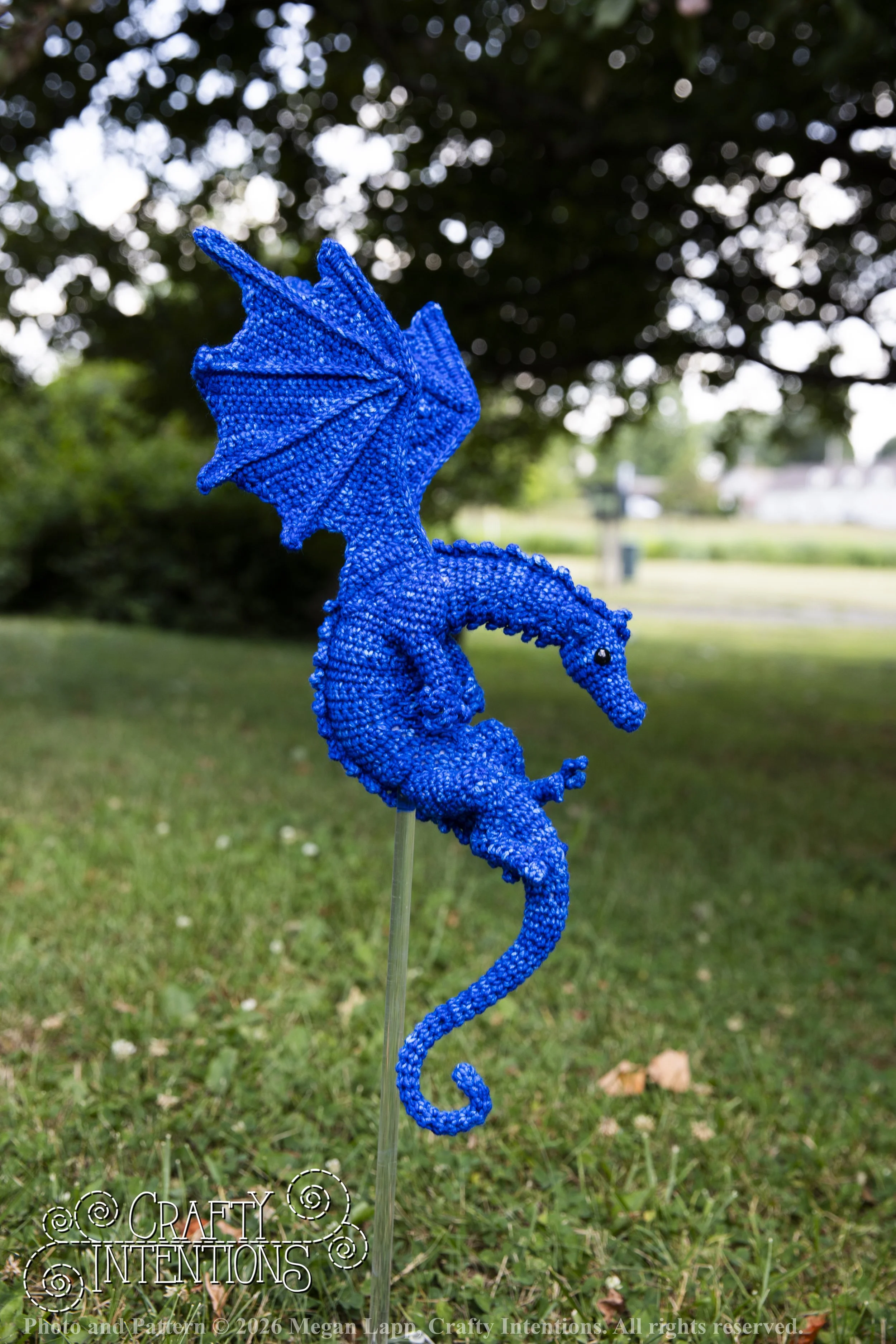 IMG_6281Daggerwingdragonedited wlac.jpg