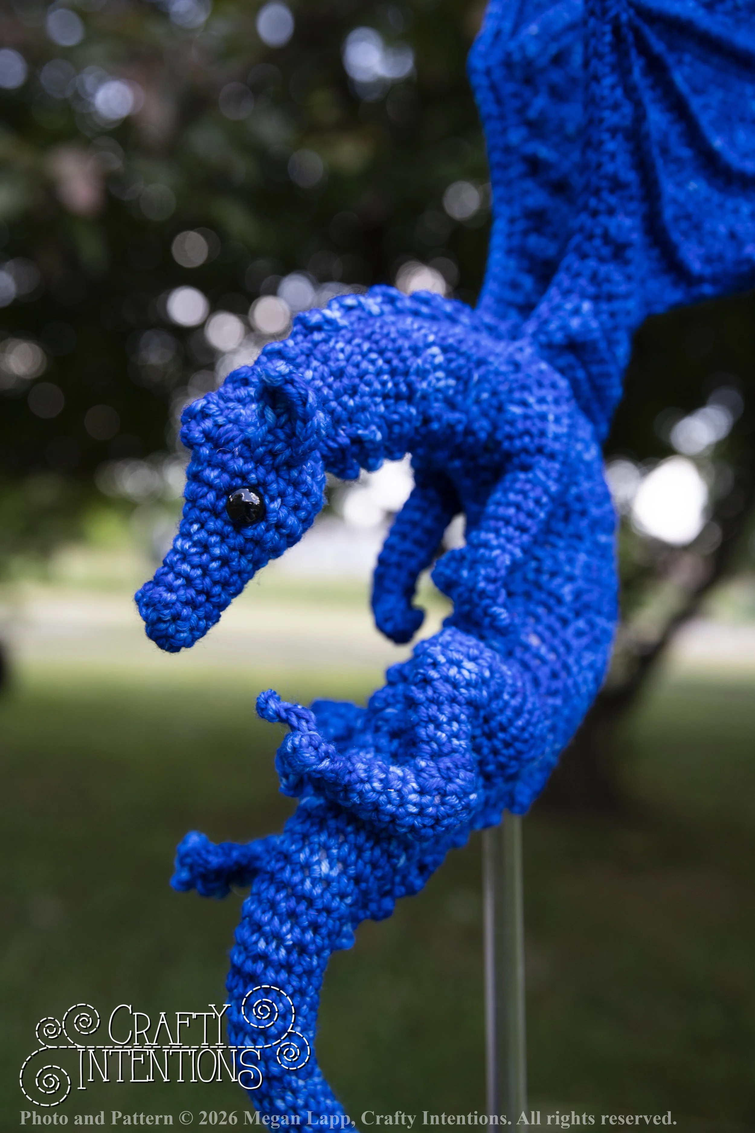 IMG_6295Daggerwingdragonedited wlac.jpg
