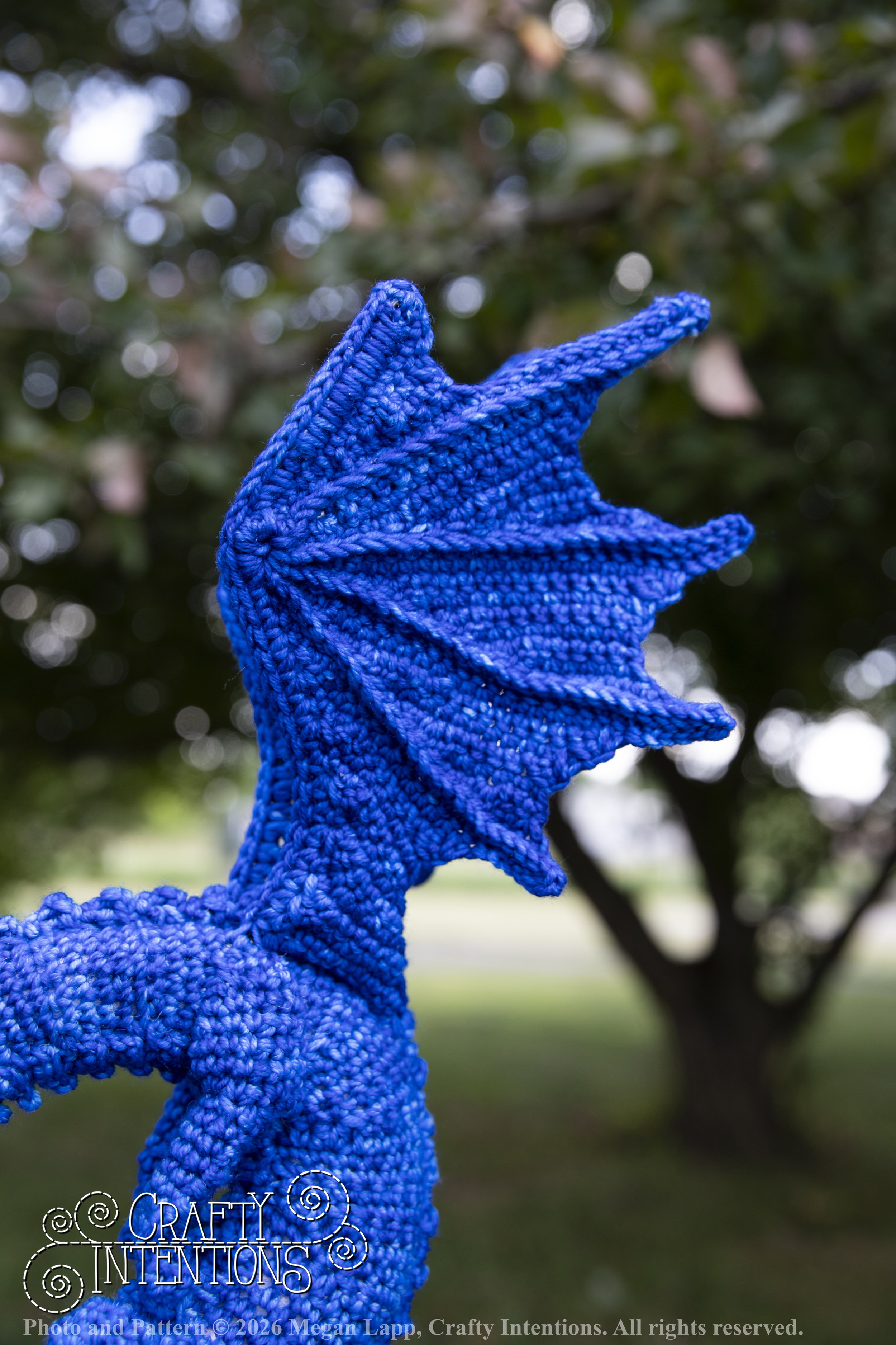 IMG_6297Daggerwingdragonedited wlac.jpg