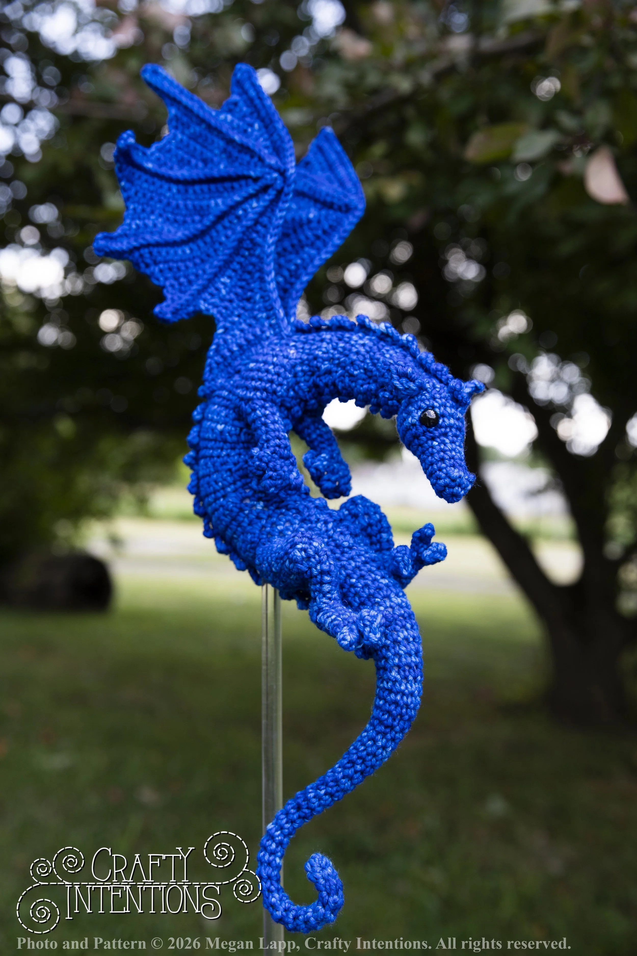 IMG_6300Daggerwingdragoneditedwlac.jpg