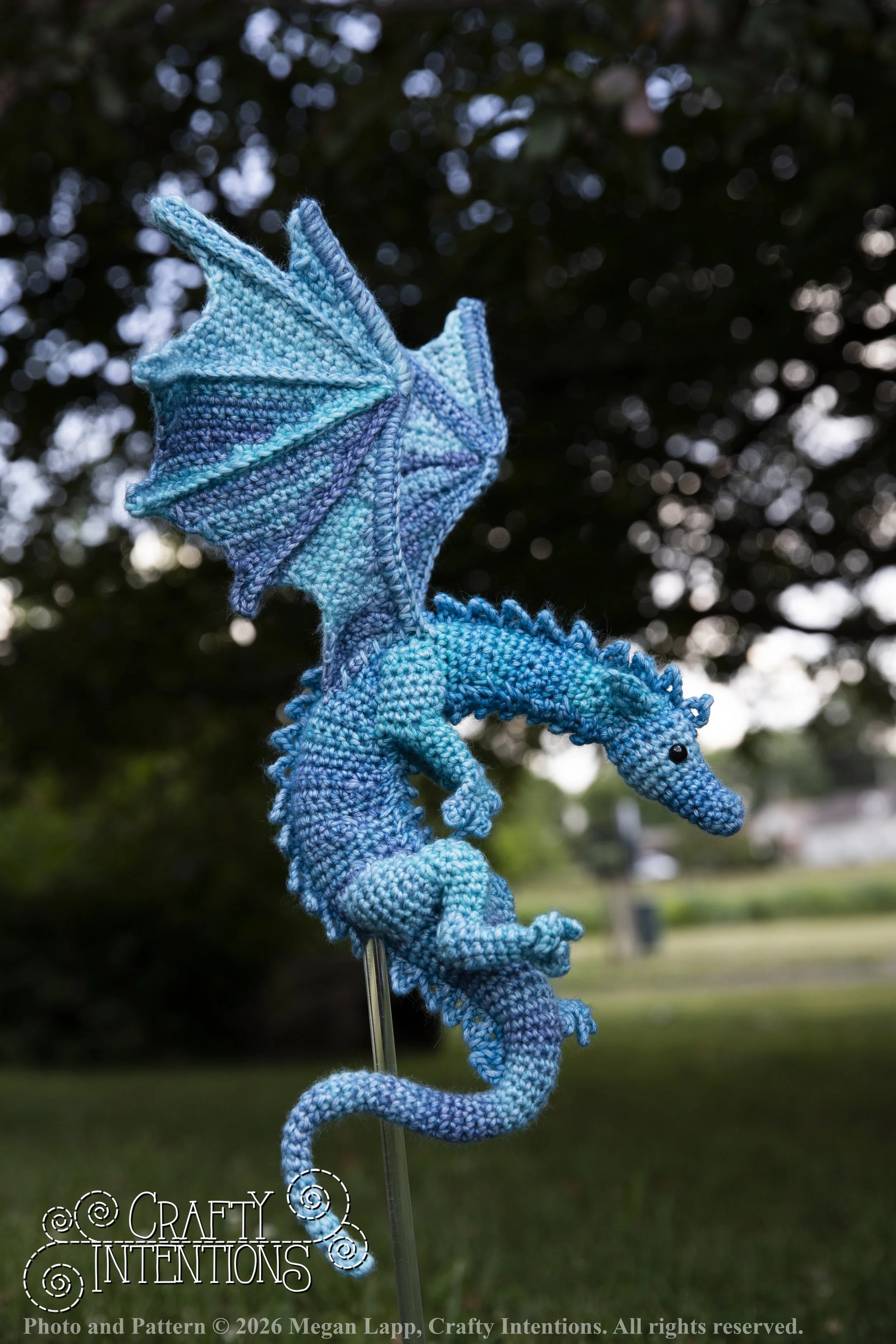 IMG_6328Daggerwingdragonedited wlac.jpg