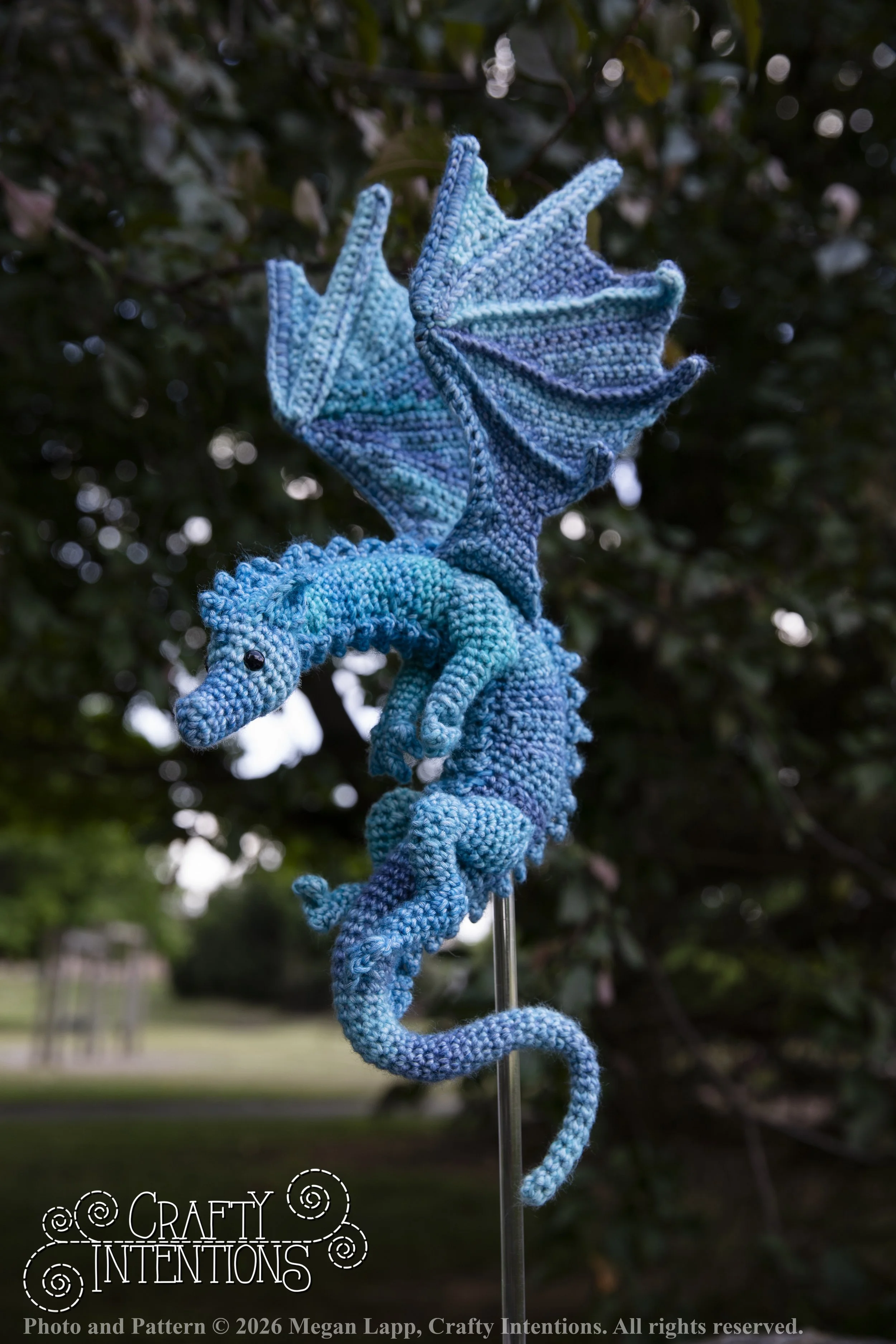 IMG_6343Daggerwingdragonedited wlac.jpg
