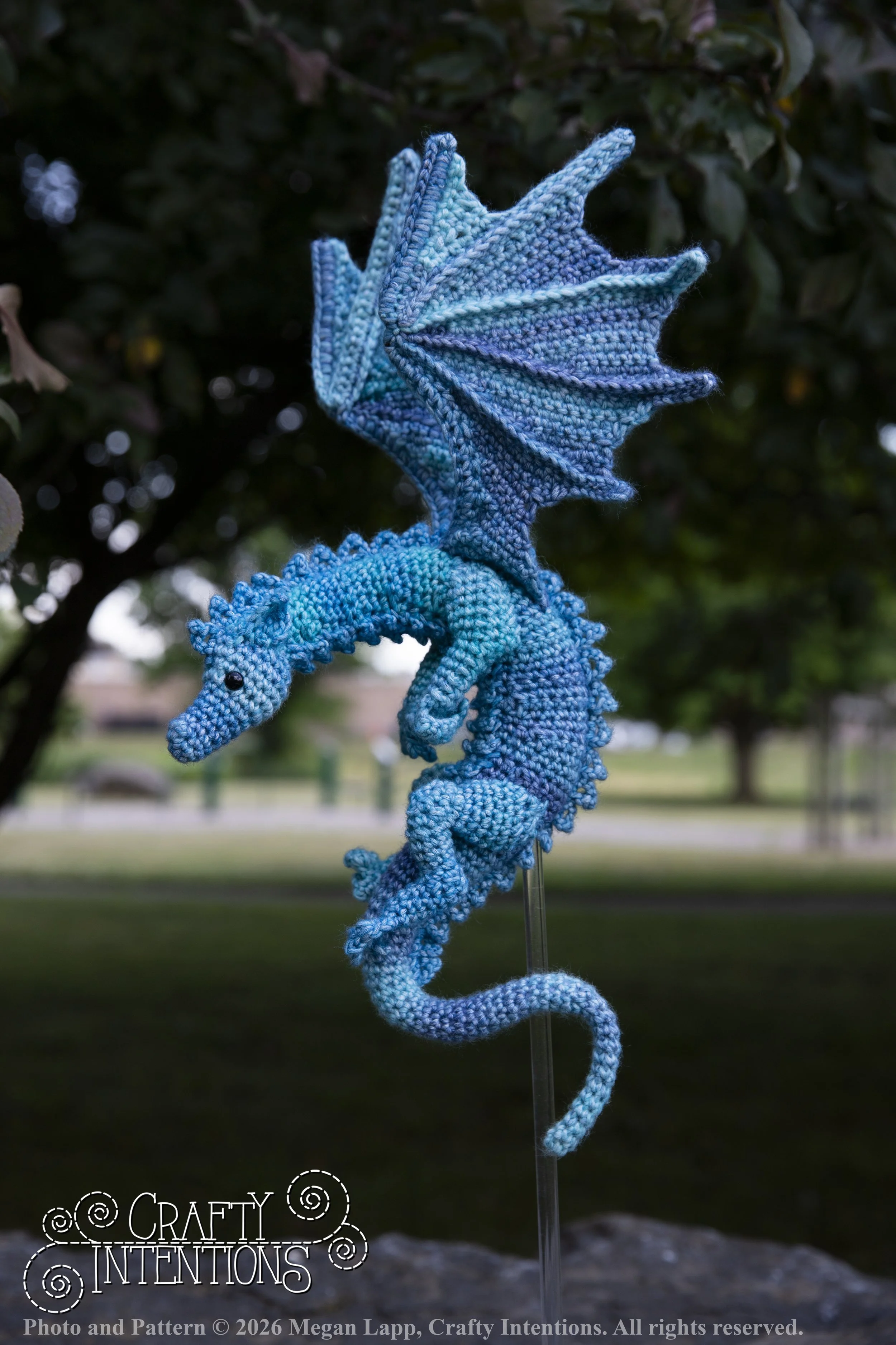 IMG_6350Daggerwingdragonedited wlac.jpg
