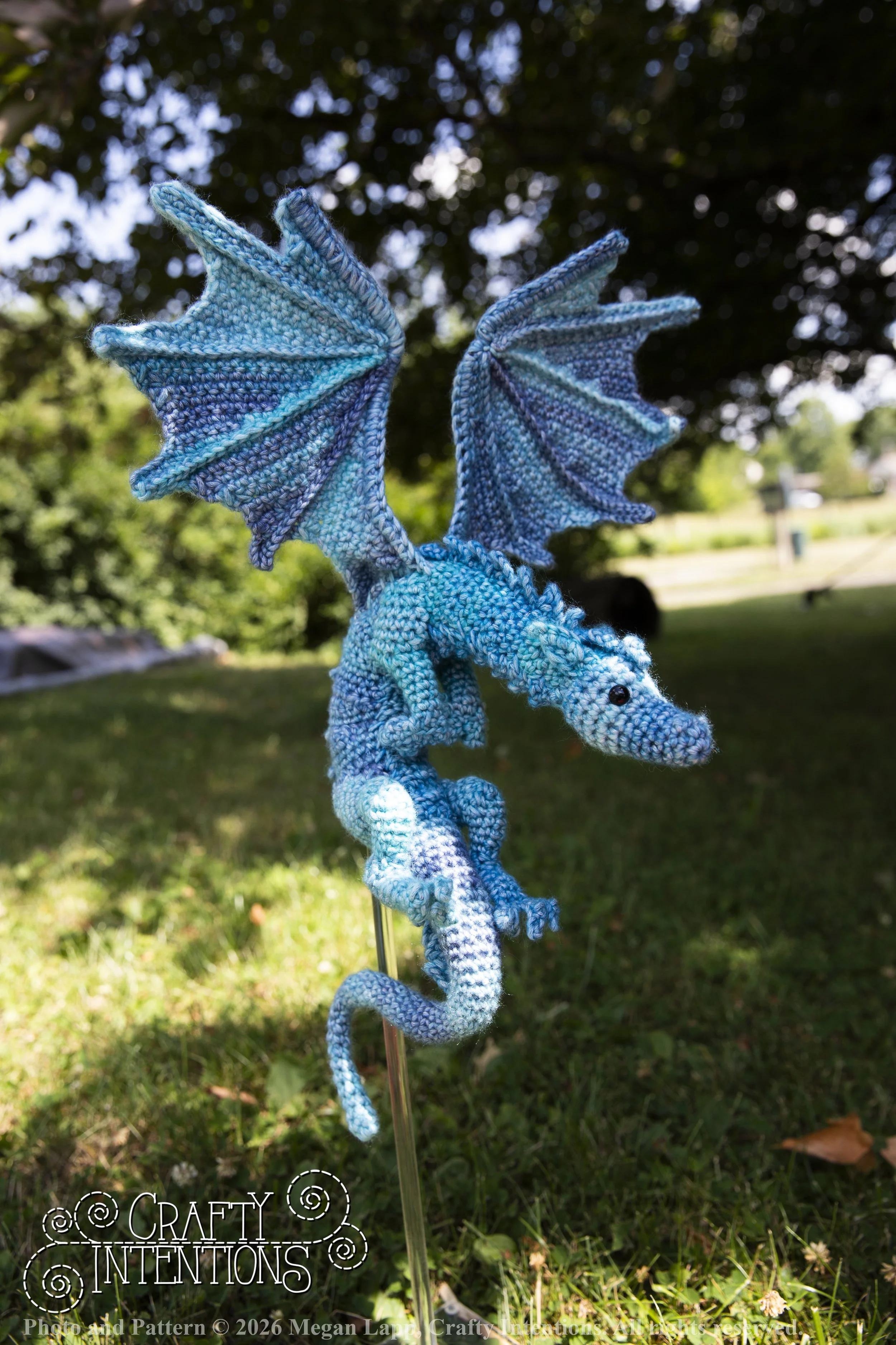 IMG_6371Daggerwingdragonedited wlac.jpg