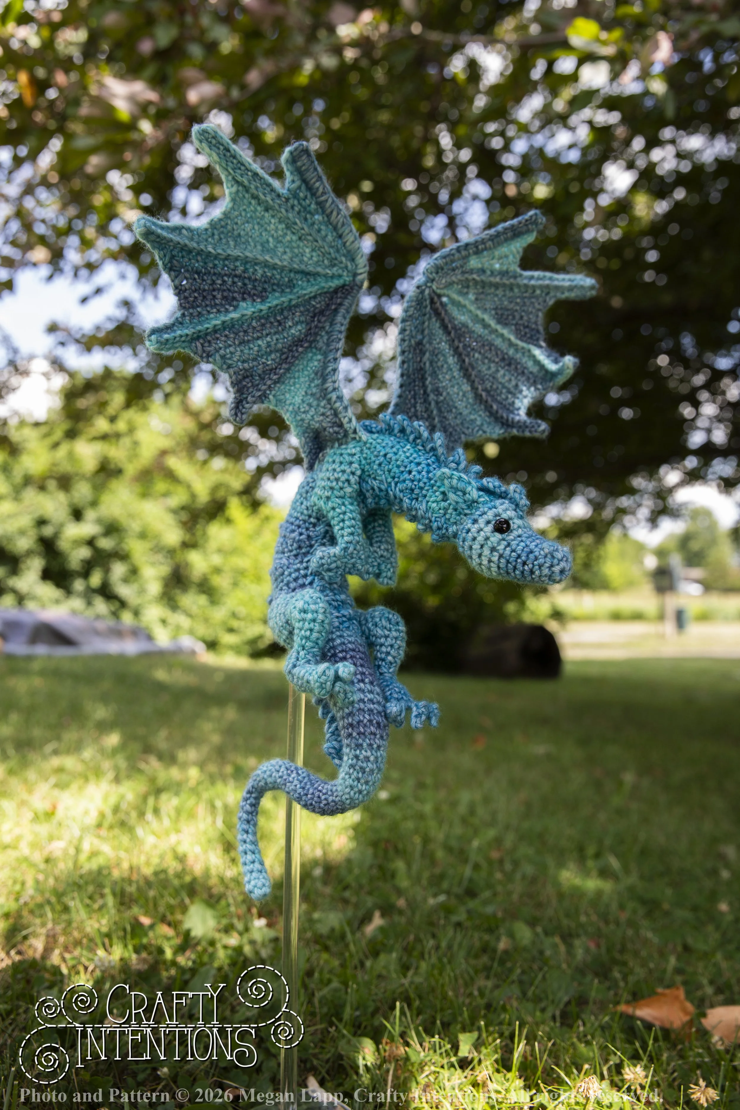 IMG_6382Daggerwingdragonedited wlac.jpg
