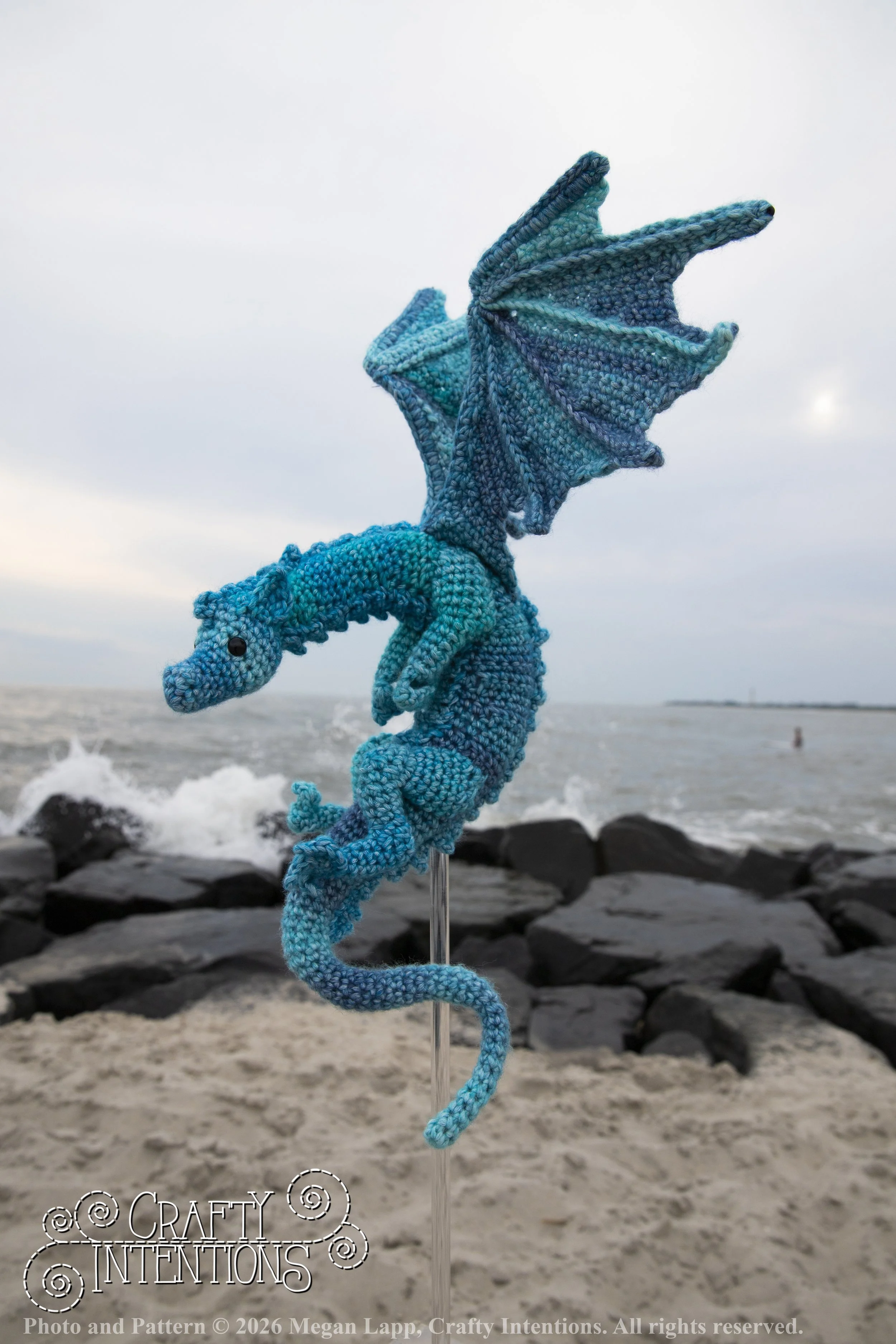 IMG_7132Daggerwingdragonedited wlac.jpg
