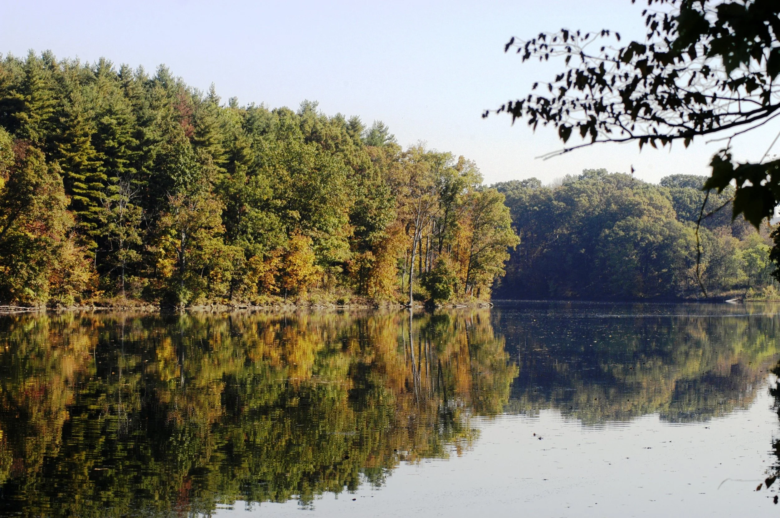 Wolf Run-021.jpg