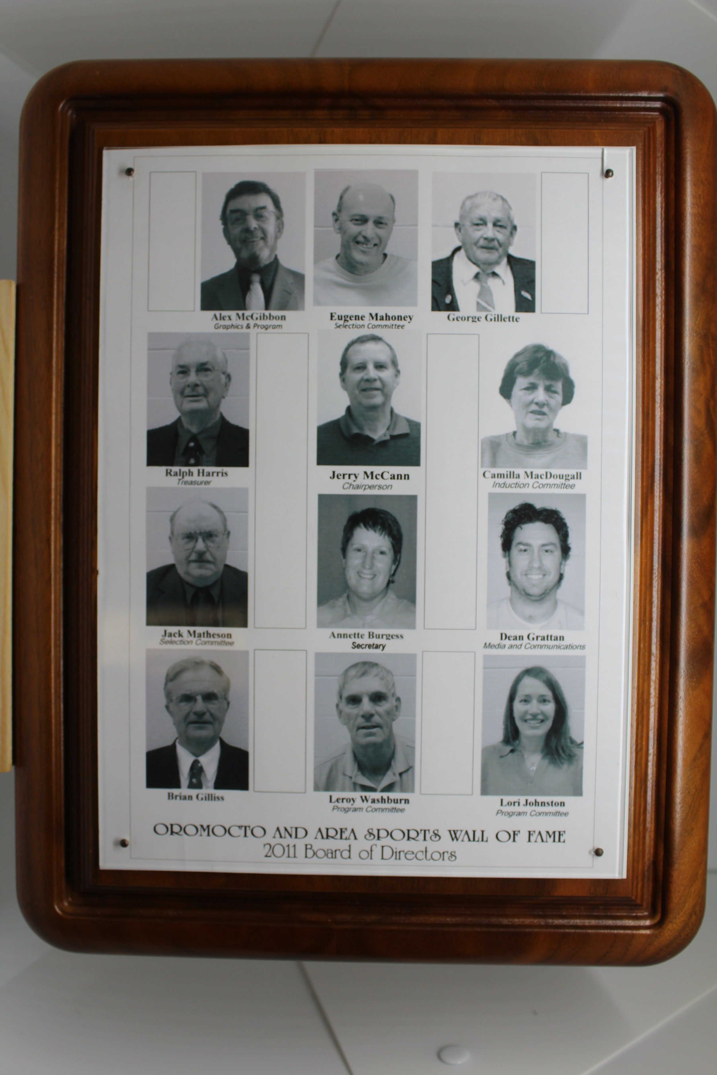 2011 - Board.JPG