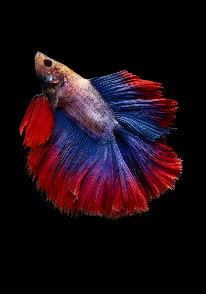 Let Your Uniqueness Unfold