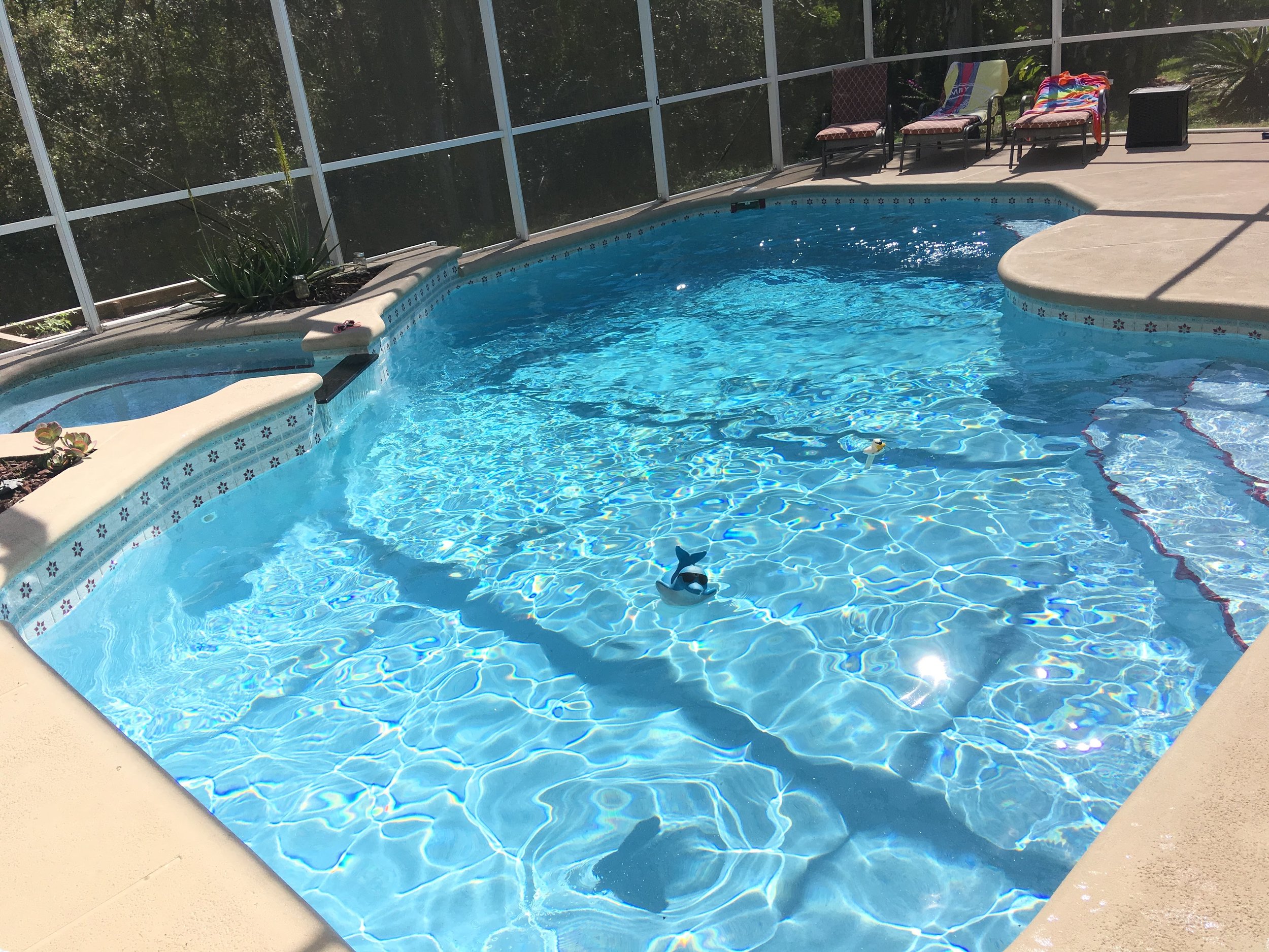 Pool Care Orlando, FL- Home - All Pool Service & Supply