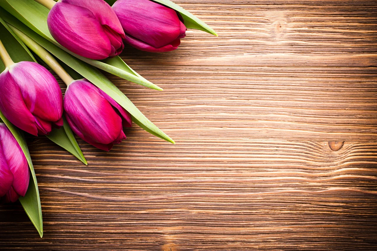 Tulips_Wood_planks_Red_542142_1280x853[1].jpg