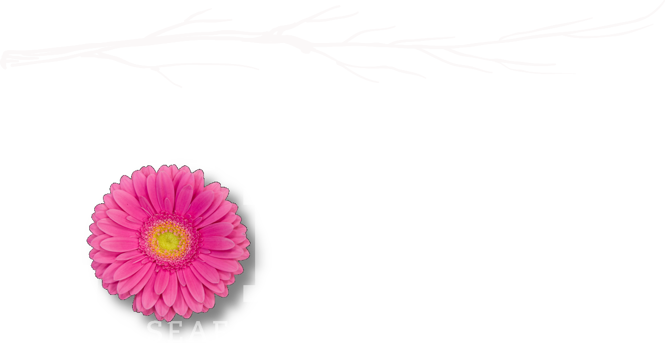 Rainbow Lodge