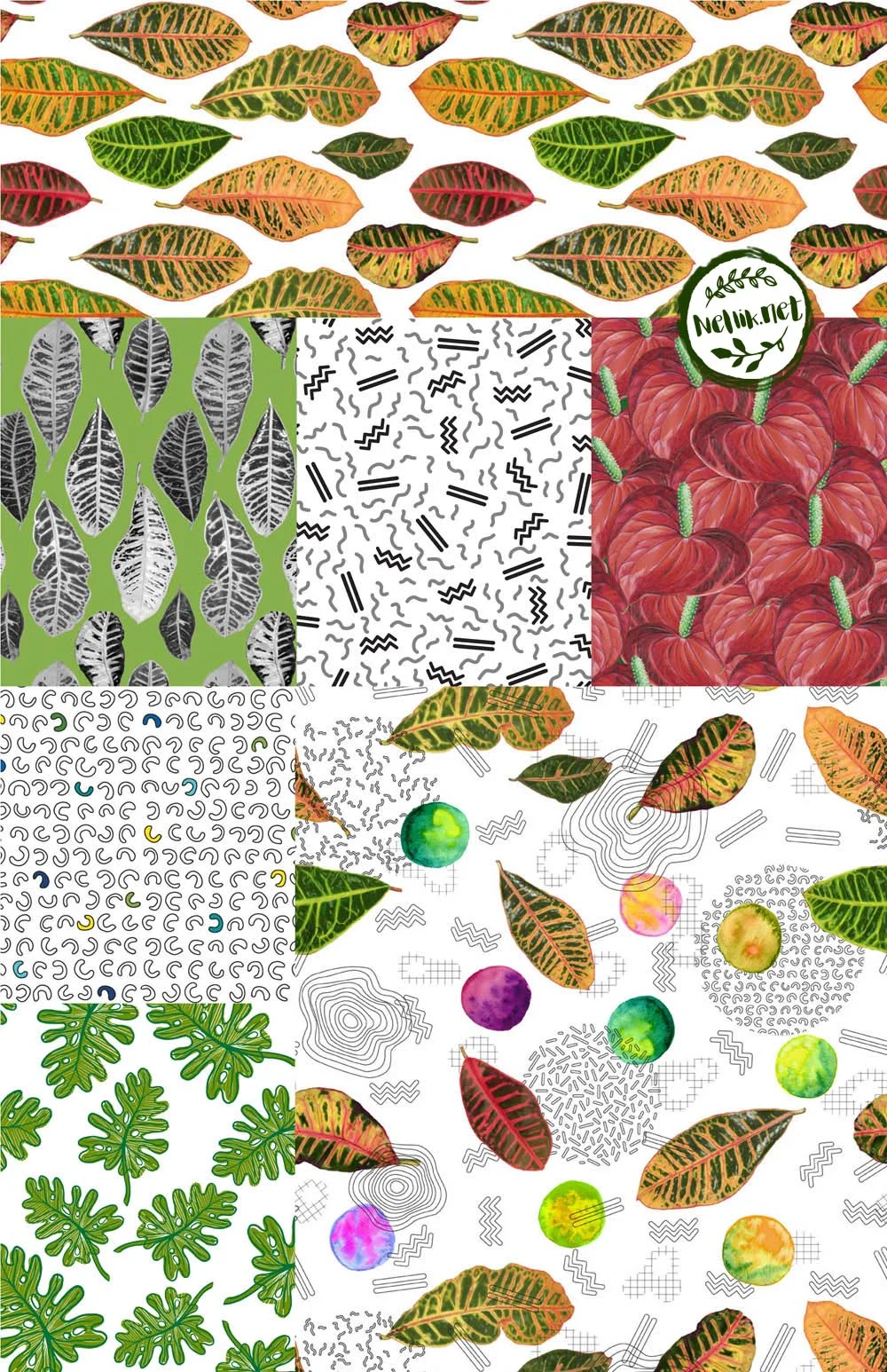 Tropical Collection V2 Web WM.jpg