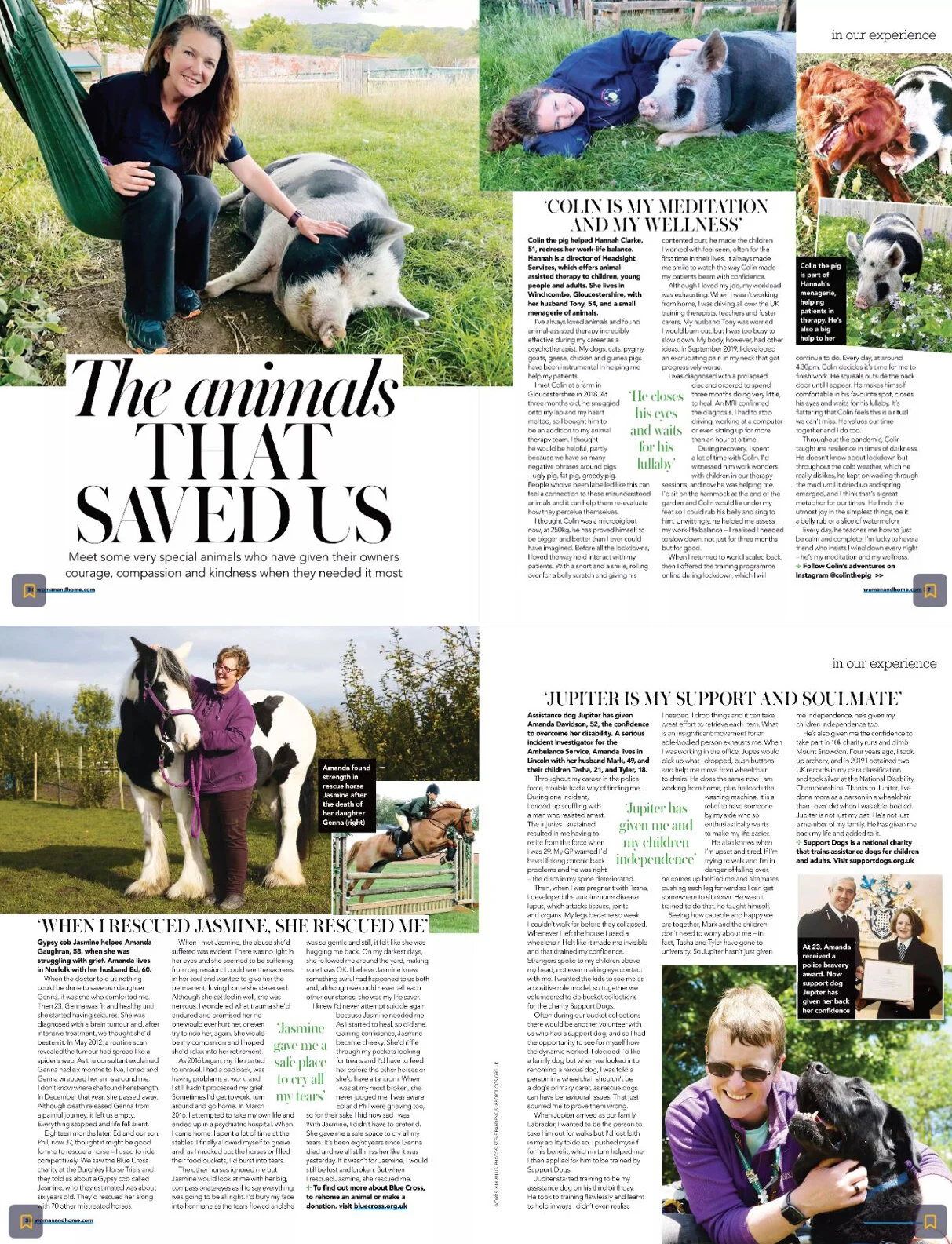 The animals that saved us