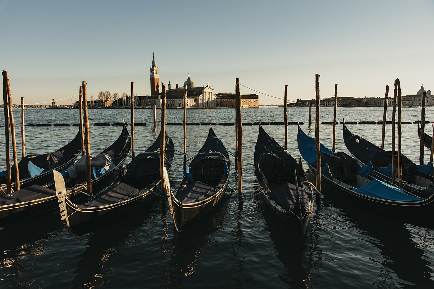 idellolio_Venezia_8754web.jpg