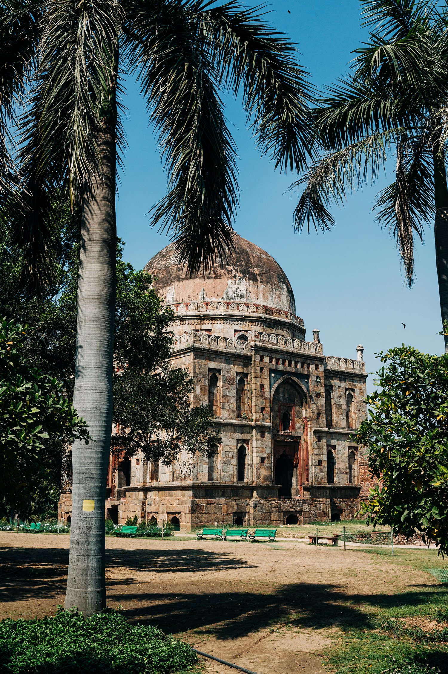idellolio_Delhi25_1796.jpg