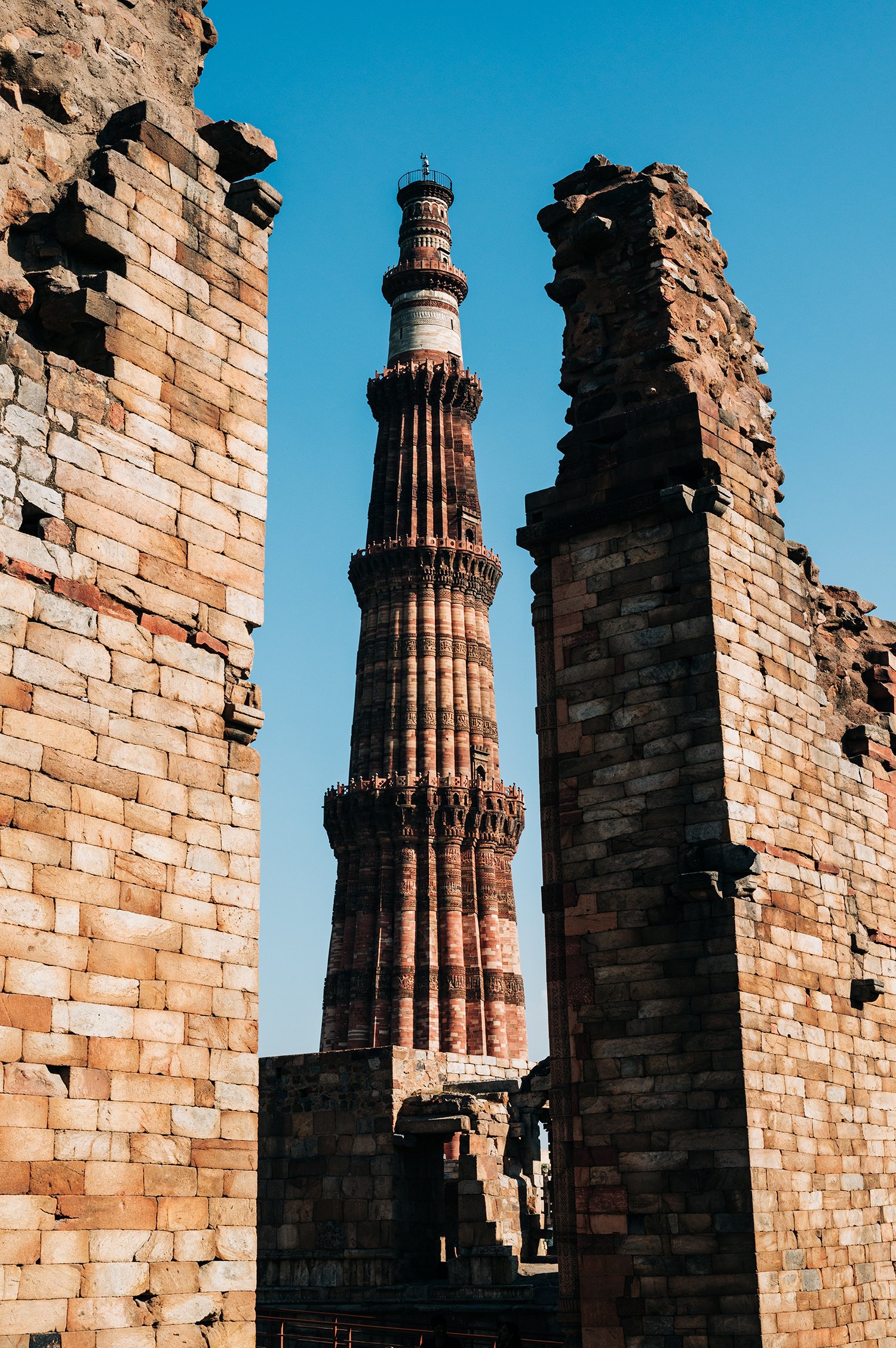 idellolio_Delhi25_1871.jpg