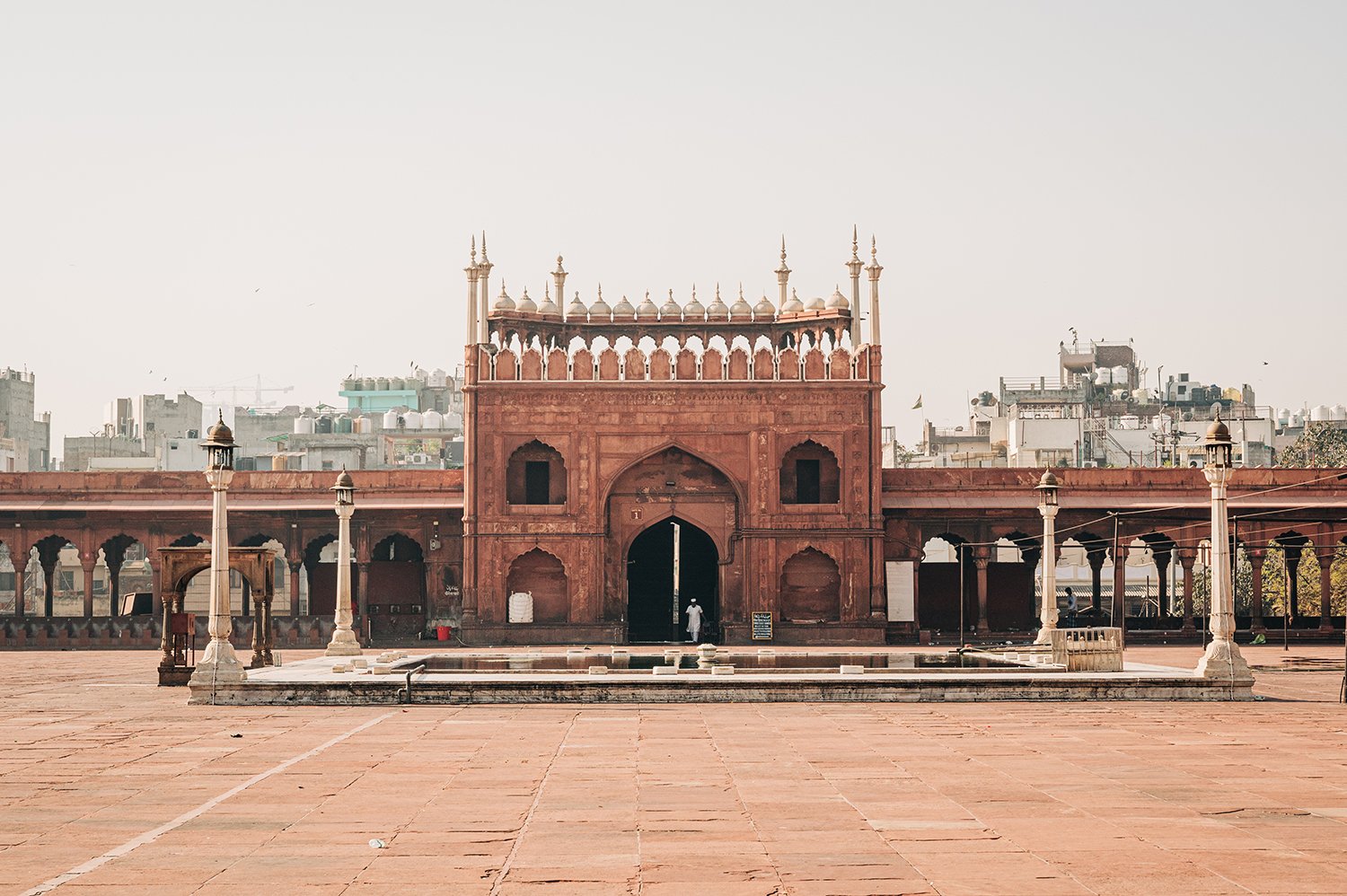 idellolio_Delhi25_2620.jpg