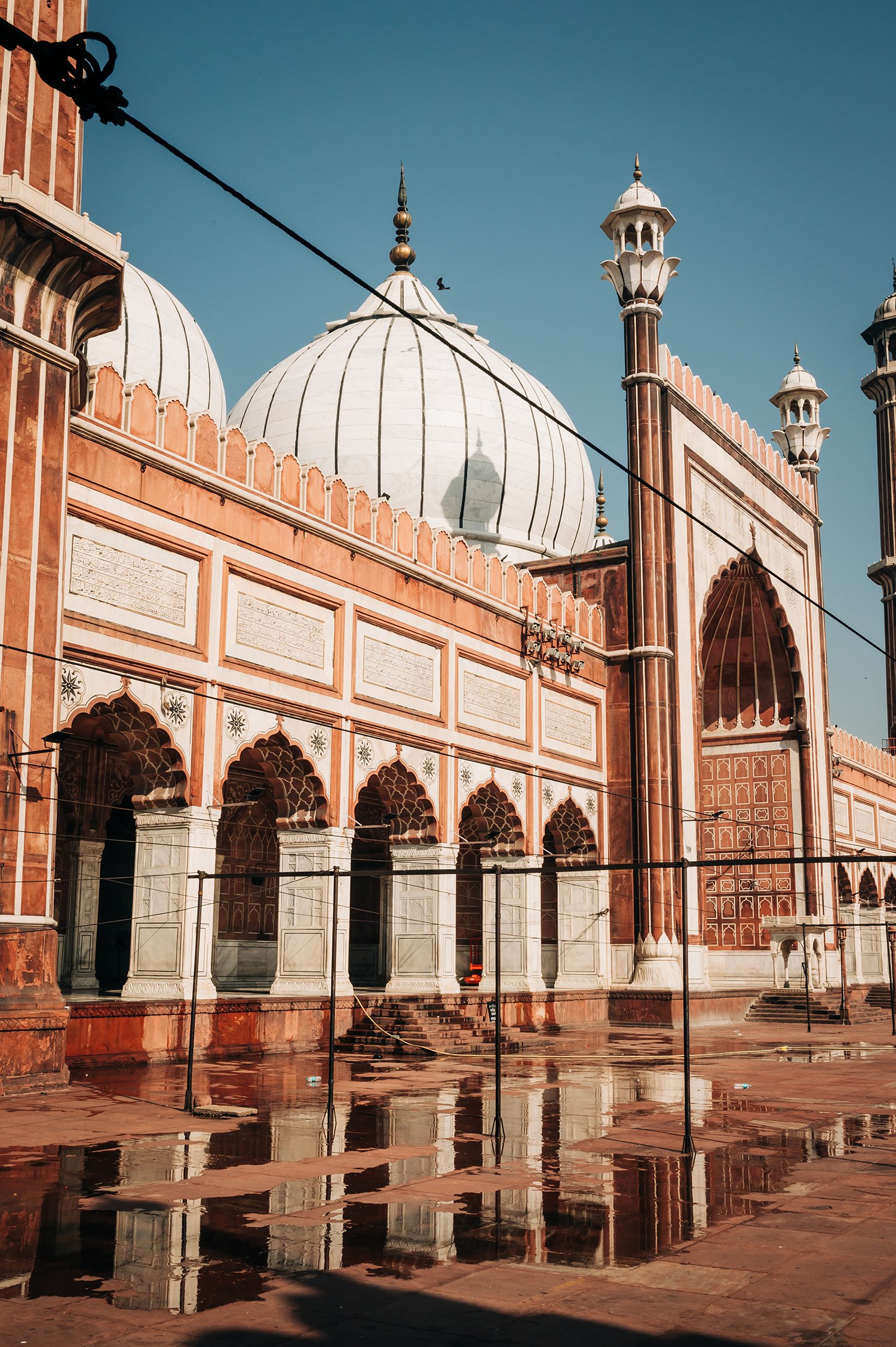 idellolio_Delhi25_2656.jpg