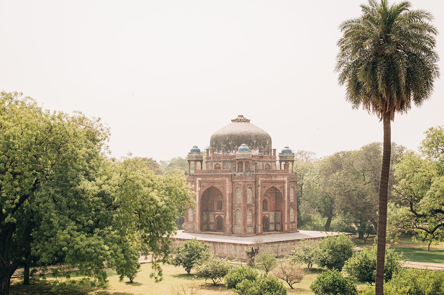 idellolio_Delhi25_5014.jpg