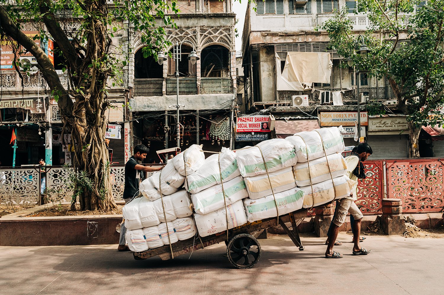 idellolio_Delhi25_7028.jpg