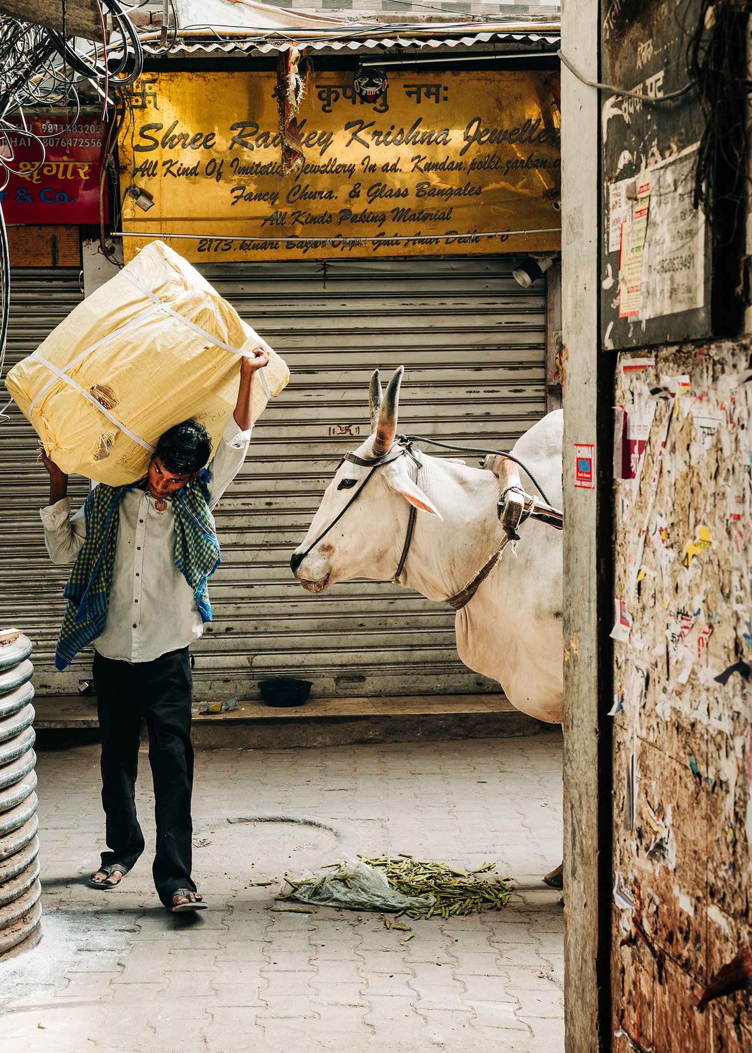 idellolio_Delhi25_6974.jpg