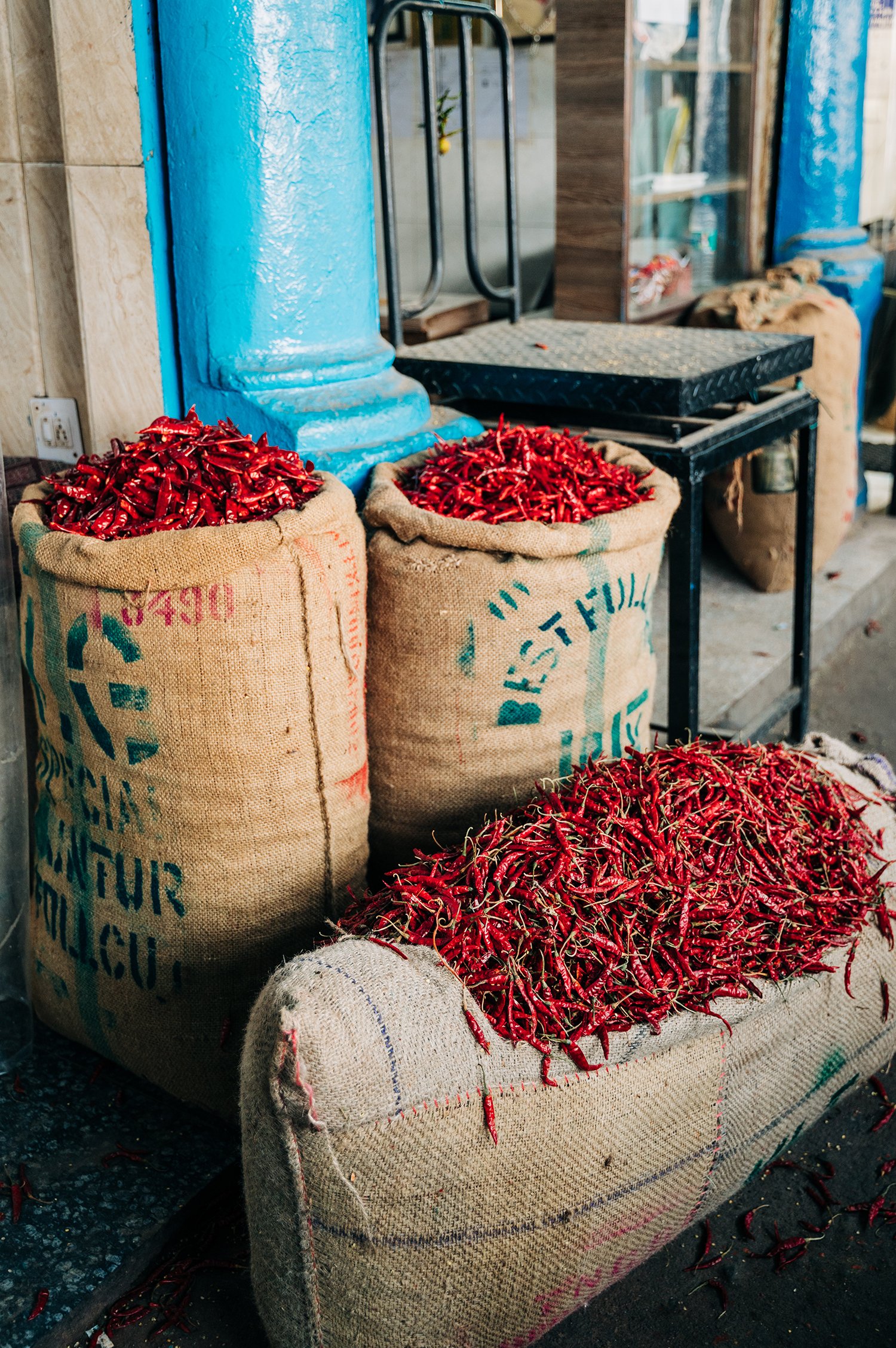 idellolio_Delhi25_7101.jpg