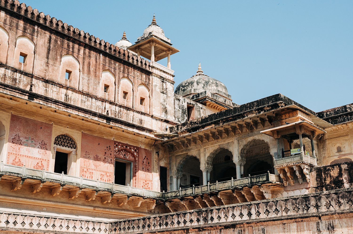 idellolio_Jaipur25_1976.jpg
