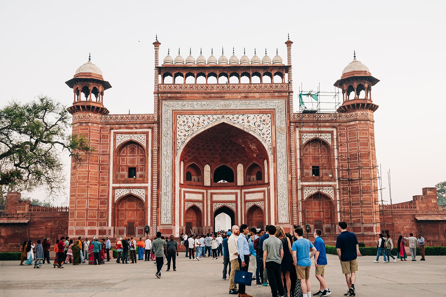 idellolio_Agra_2155.jpg