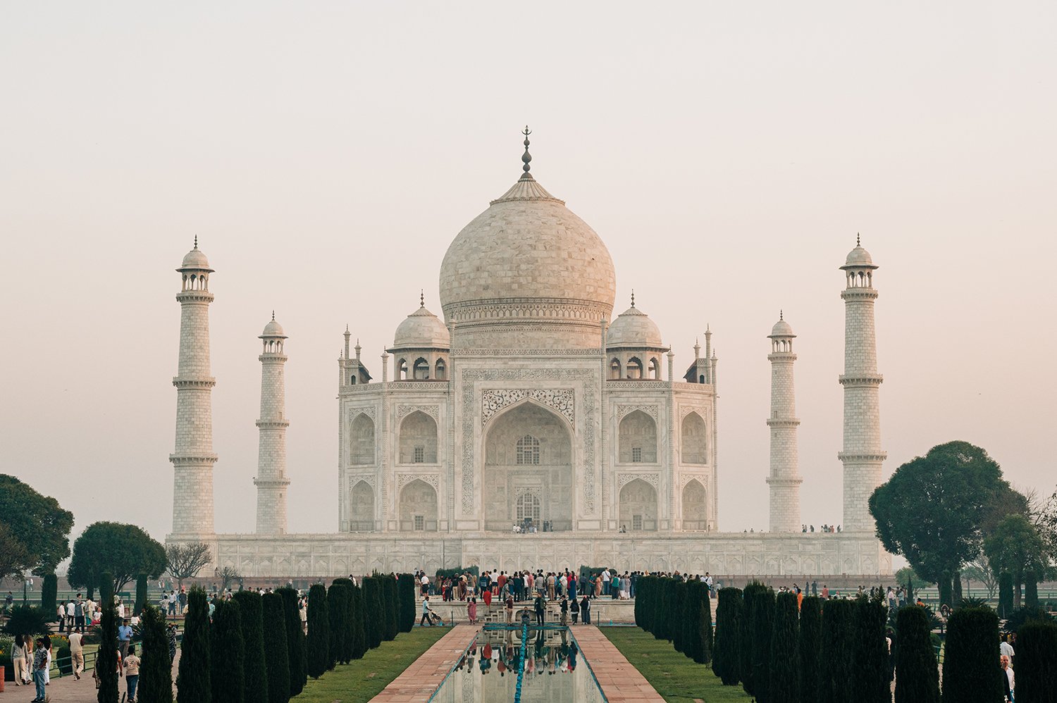 idellolio_Agra_2159.jpg