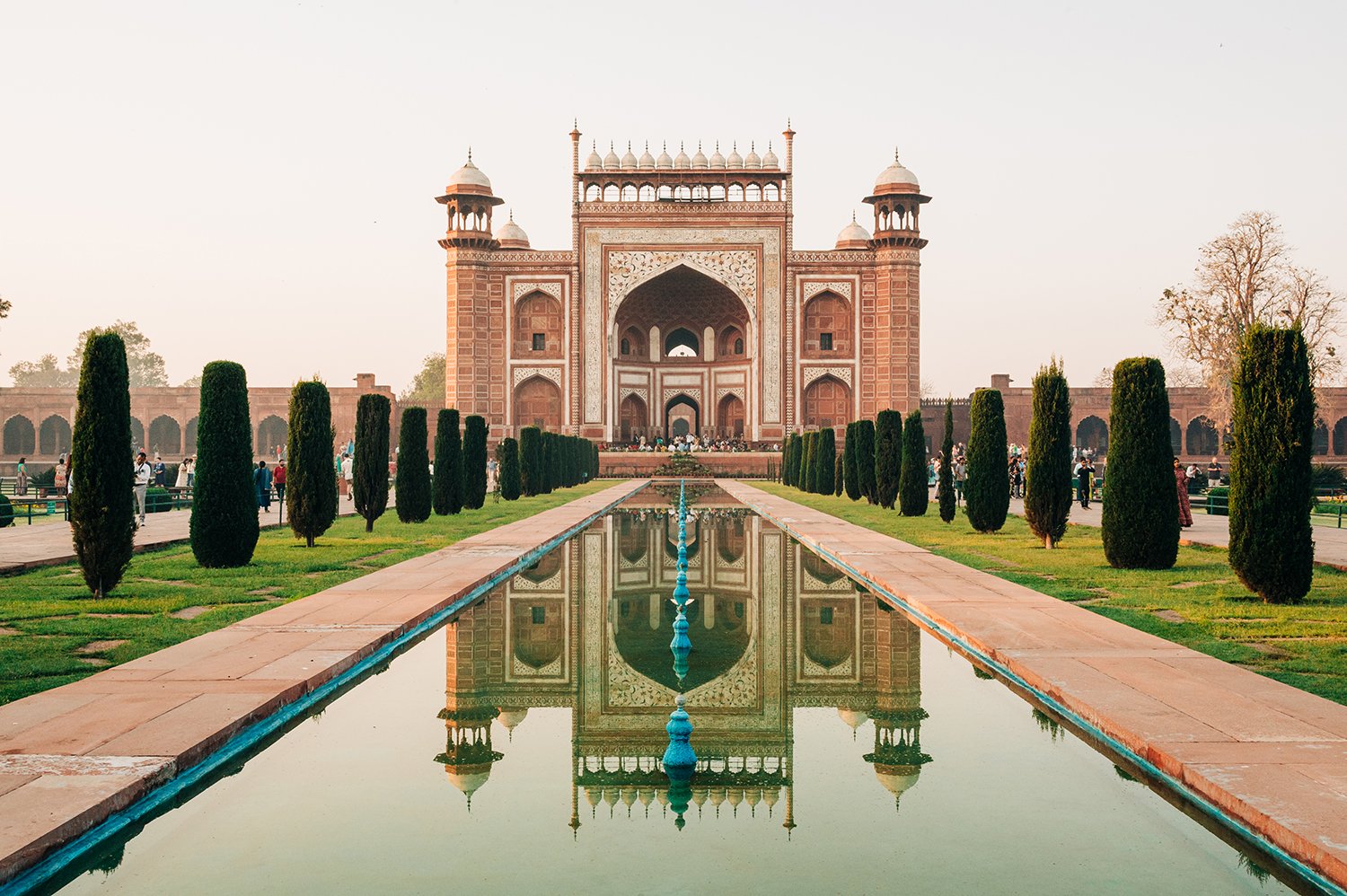 idellolio_Agra_2168.jpg