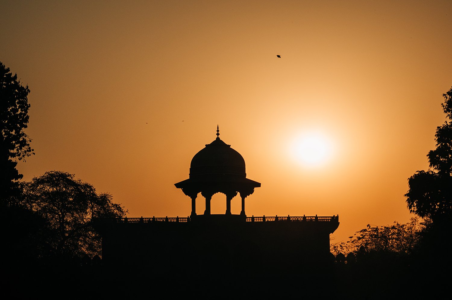 idellolio_Agra_2170.jpg
