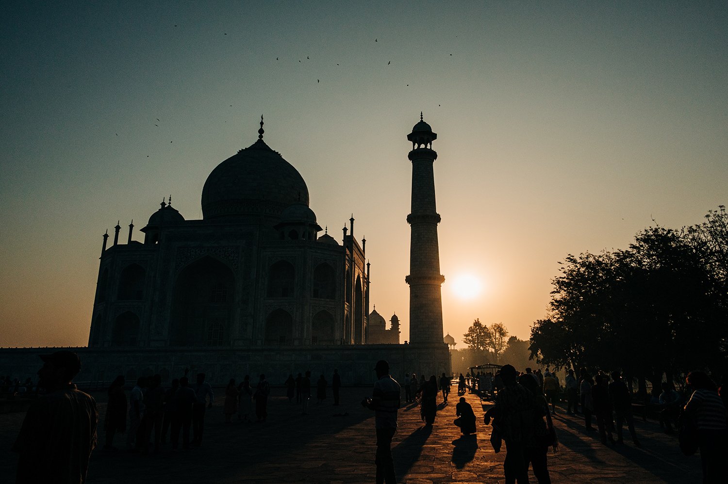 idellolio_Agra_2172.jpg