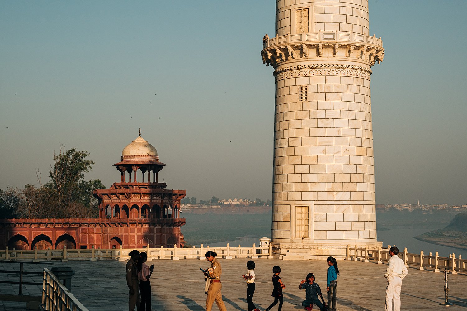 idellolio_Agra_2179.jpg