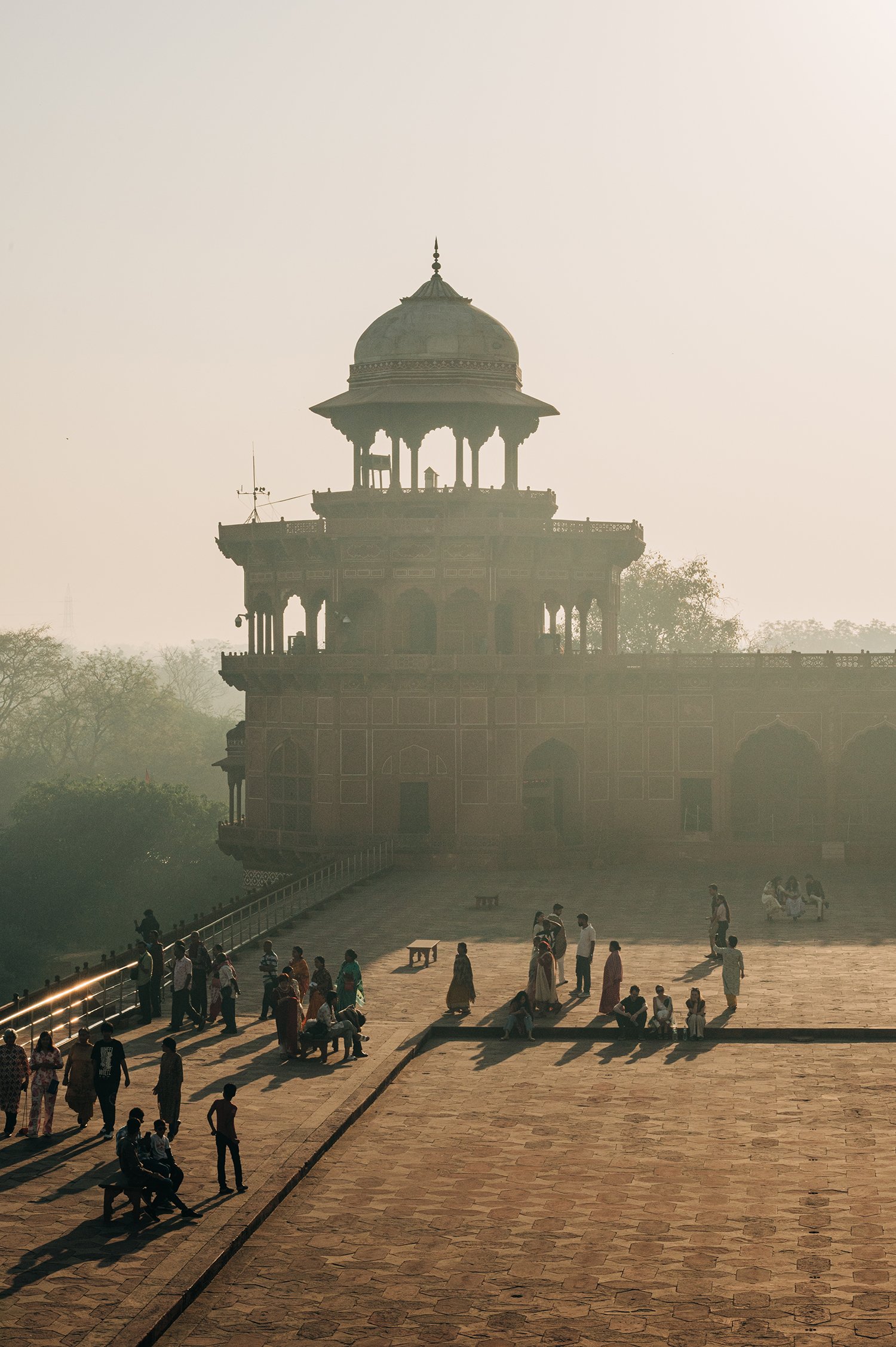 idellolio_Agra_2185.jpg