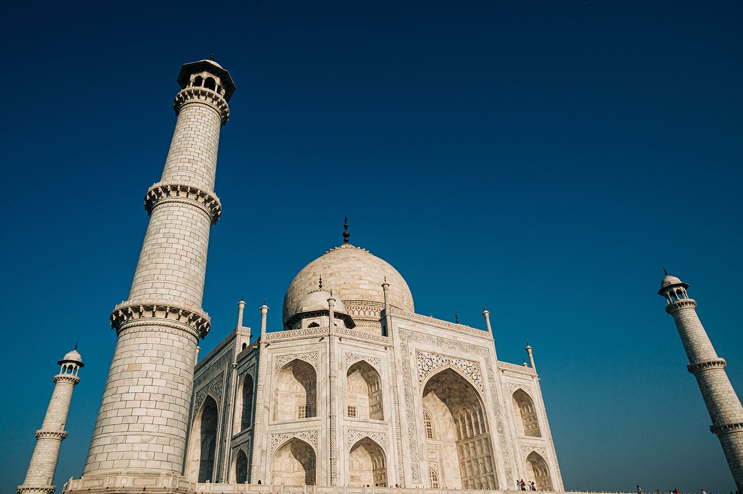 idellolio_Agra_2219.jpg