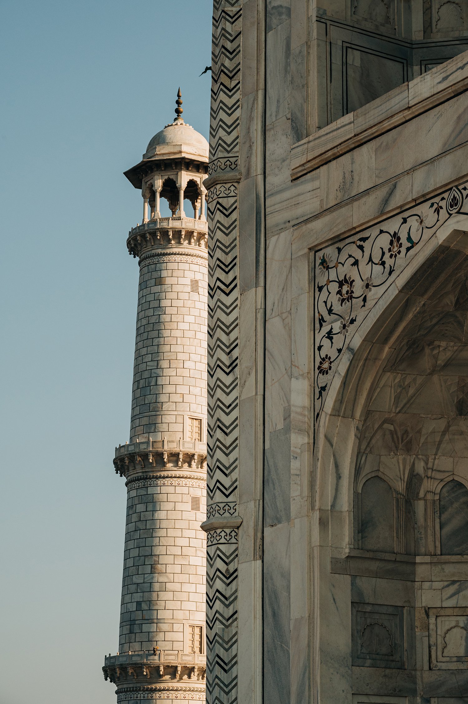 idellolio_Agra_2207.jpg