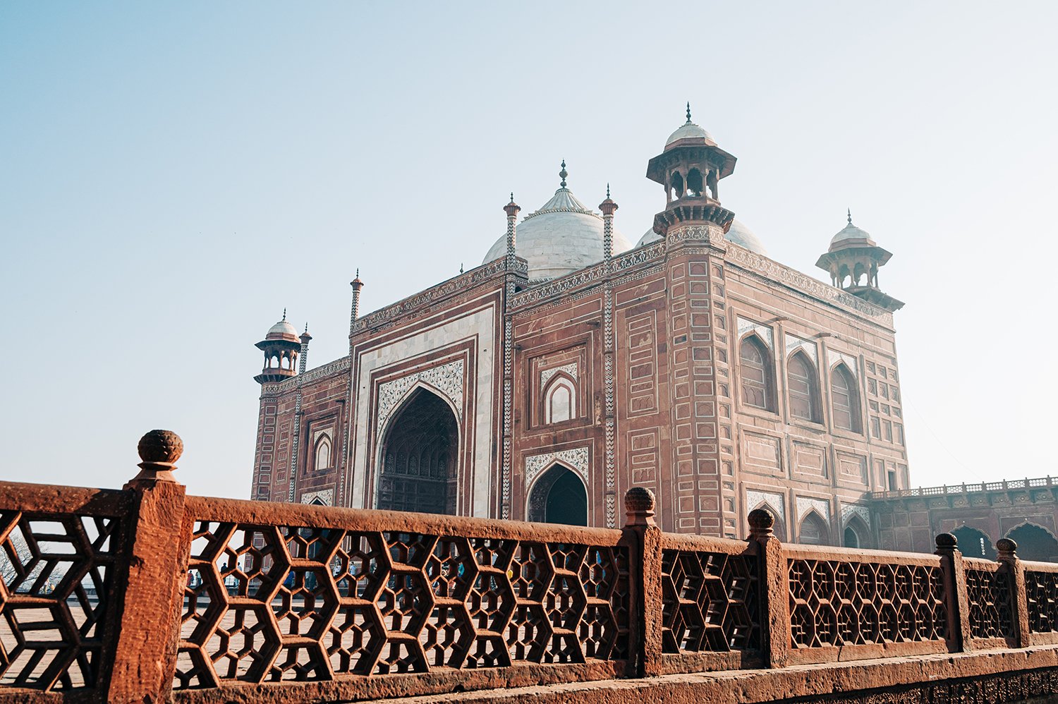 idellolio_Agra_2220.jpg