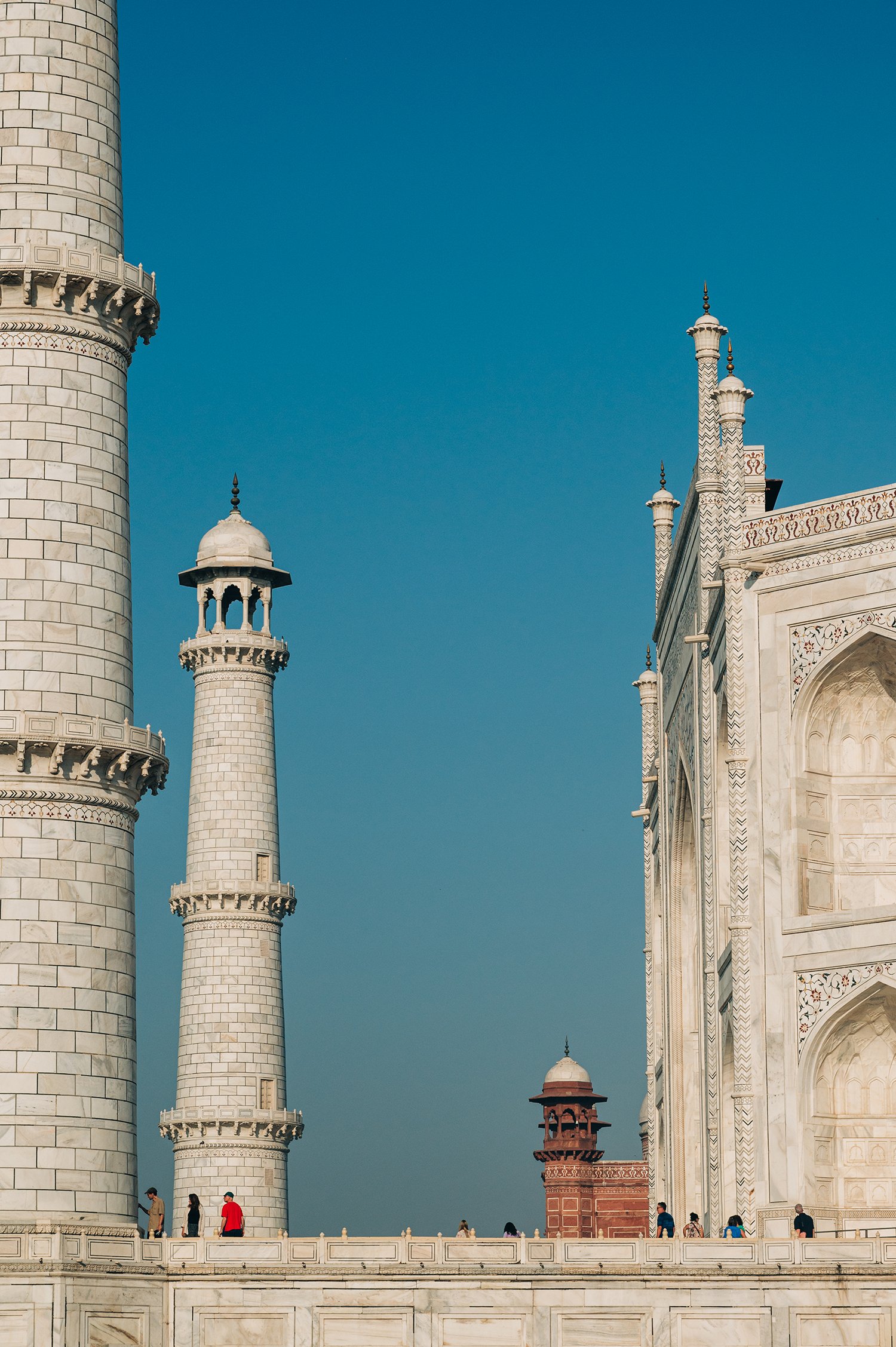 idellolio_Agra25_2224.jpg
