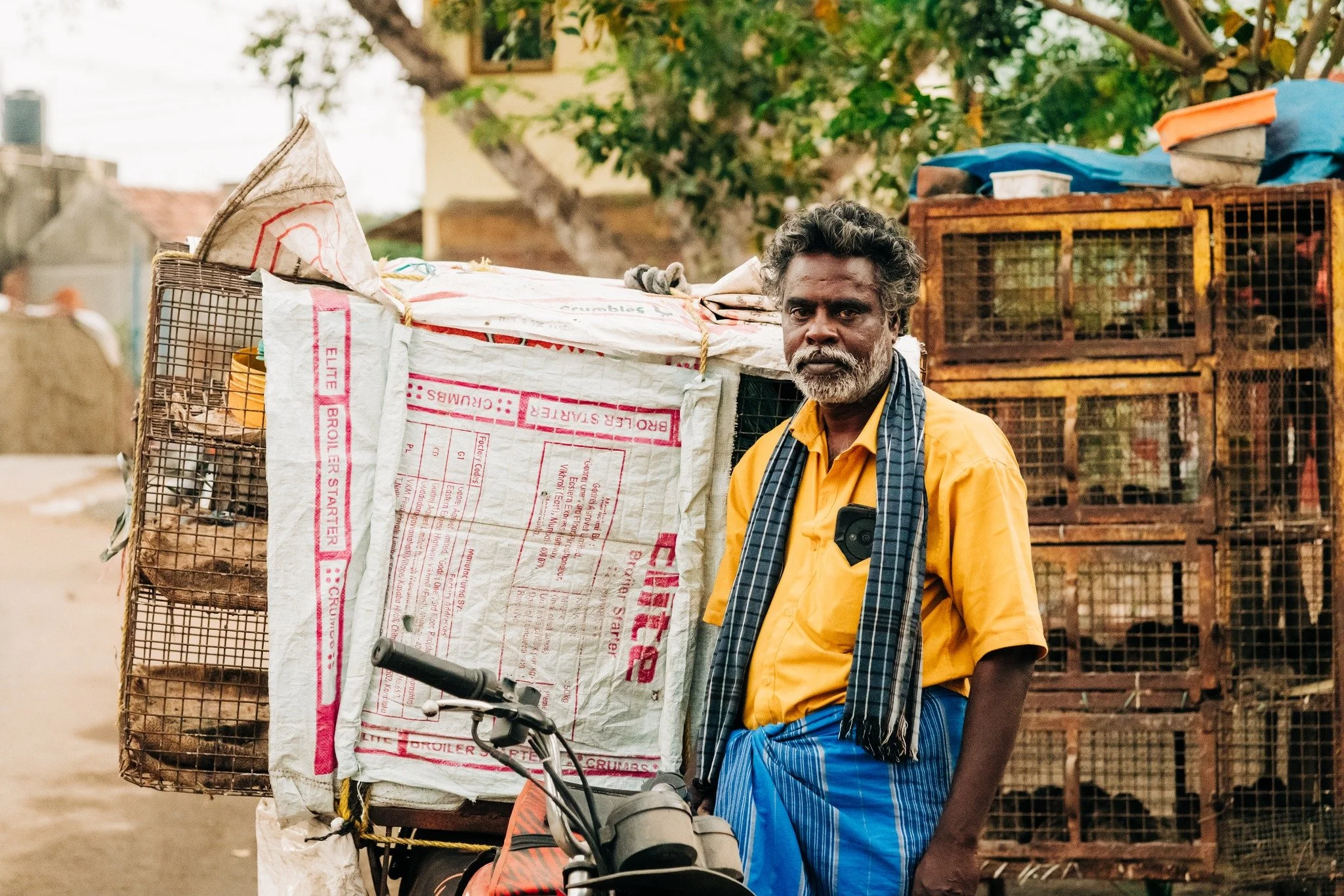 Chickens pick up and delivery in Chettinad, India 🧡