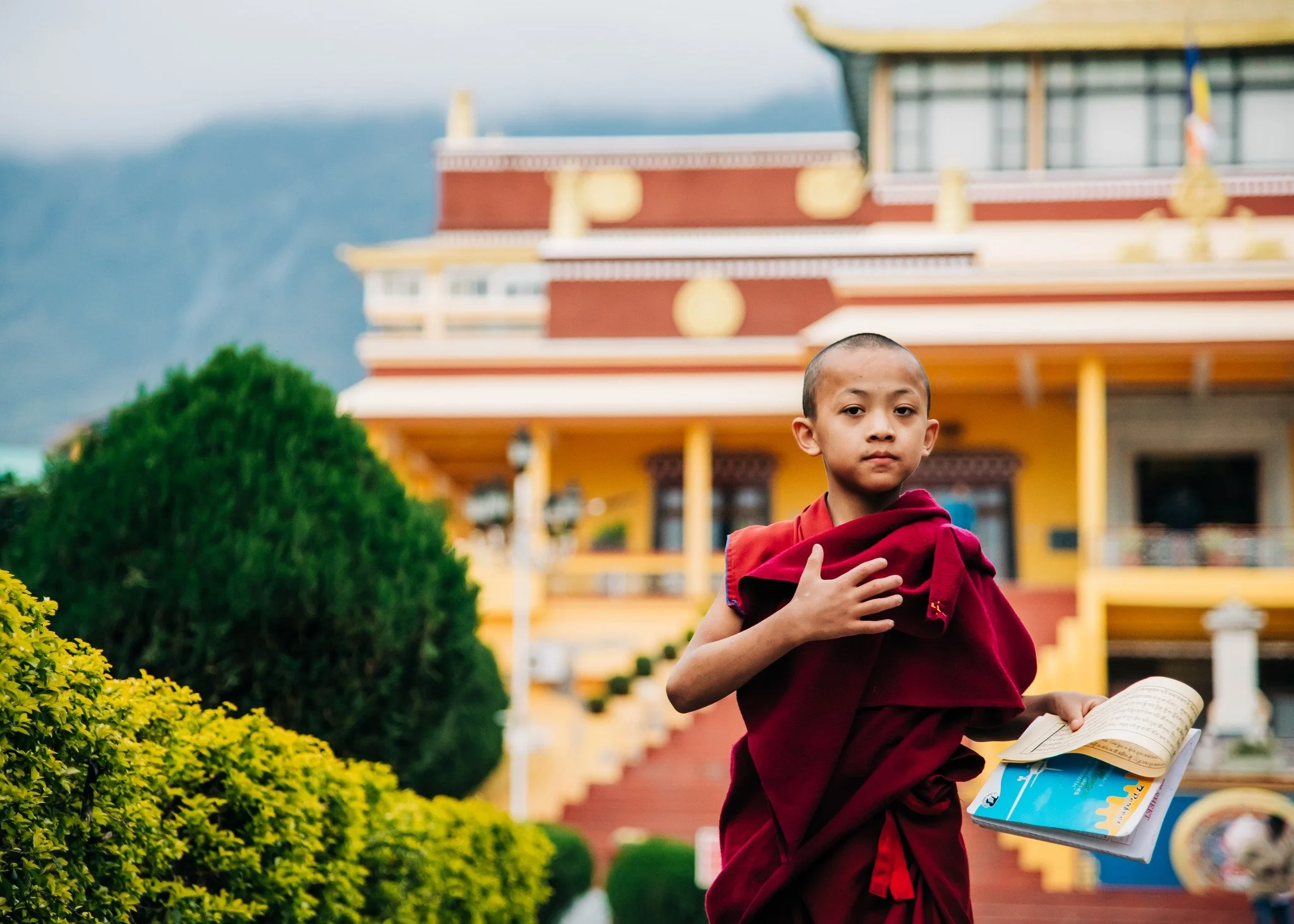 Gyuto Monastery, Dharamshala ❤ 
Huge highlight of this trip!
The Gyuto Monastery is one of the most famous monasteries and specializes in the study of Tantric meditation, Tantric ritual arts, and Buddhist philosophy. It was founded in Tibet in 1474 b