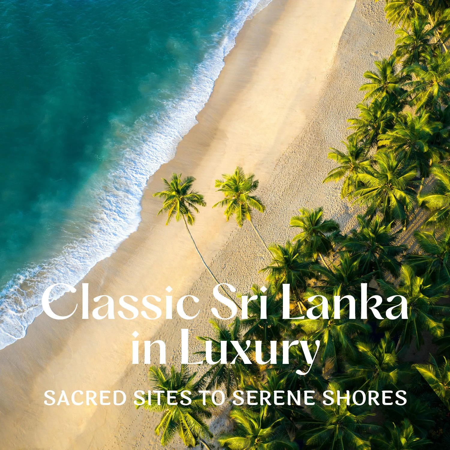 🌴☀🌴☀🌴☀🌴☀🌴 I&rsquo;m soooooo excited to finally share our next adventure!!

JOIN US IN SRI LANKA!
January 27 - February 8, 2027
💛 This trip is a mix of everything that makes Sri Lanka unforgettable. 

We&rsquo;ll move through places like Sigiriy
