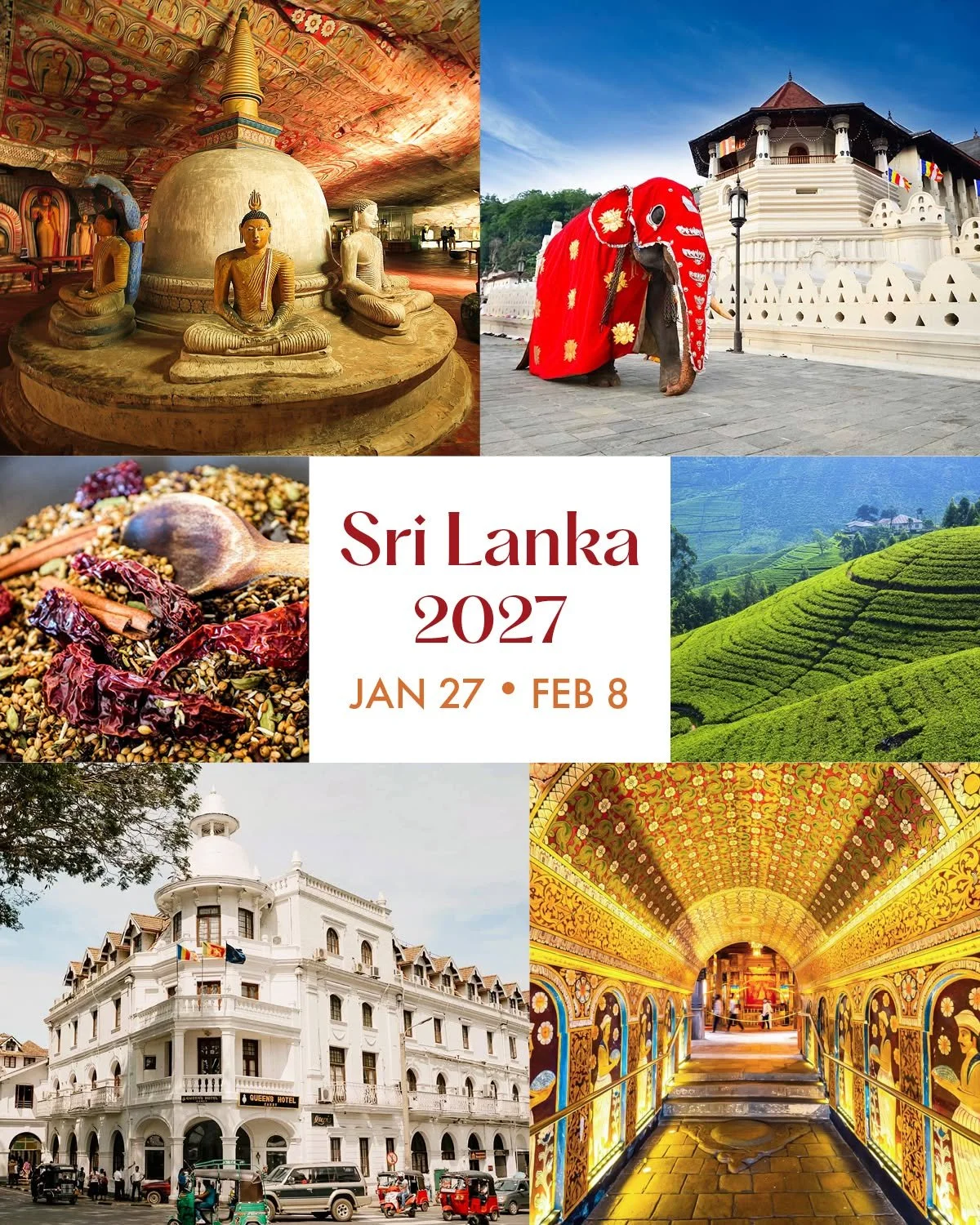Sri Lanka 2027 🌴☀🧡✈

Days 5 &amp; 6 bring us to Kandy, and I think these days will give us a completely different feel for Sri Lanka.

We'll be surrounded by the colors and paintings of the Dambulla caves, the smells and flavors of a spice garden, 