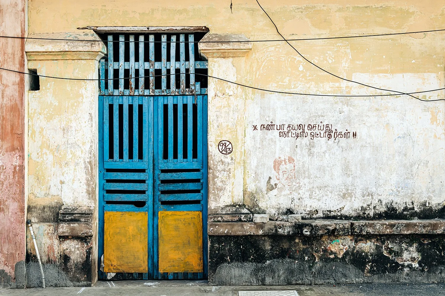 idellolio_2925.jpg