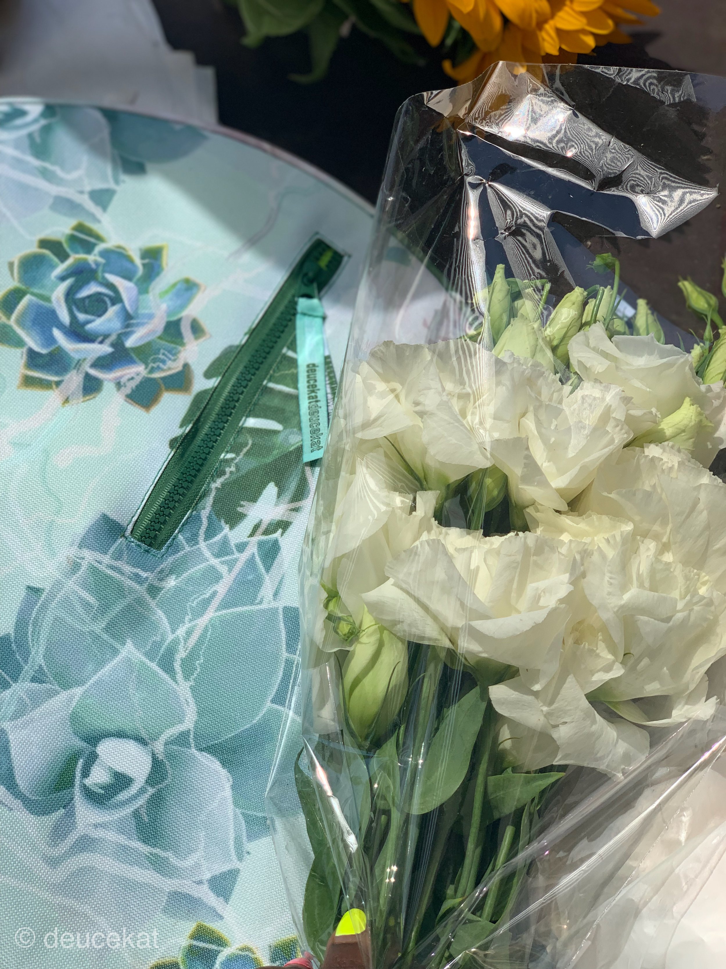 B942ABDA-F444-4056-9AED-6A14294D3DAD