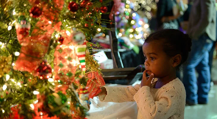 Festival of Trees and Lights: The LAM World Music Ensemble