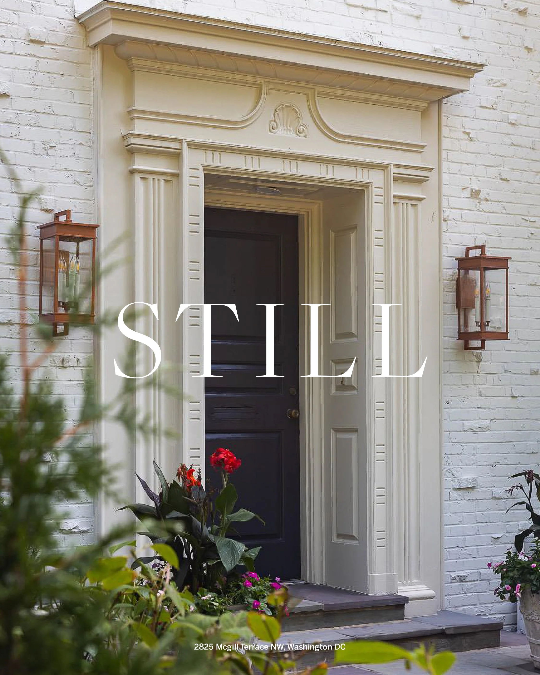 Still Like No Other_1.jpg